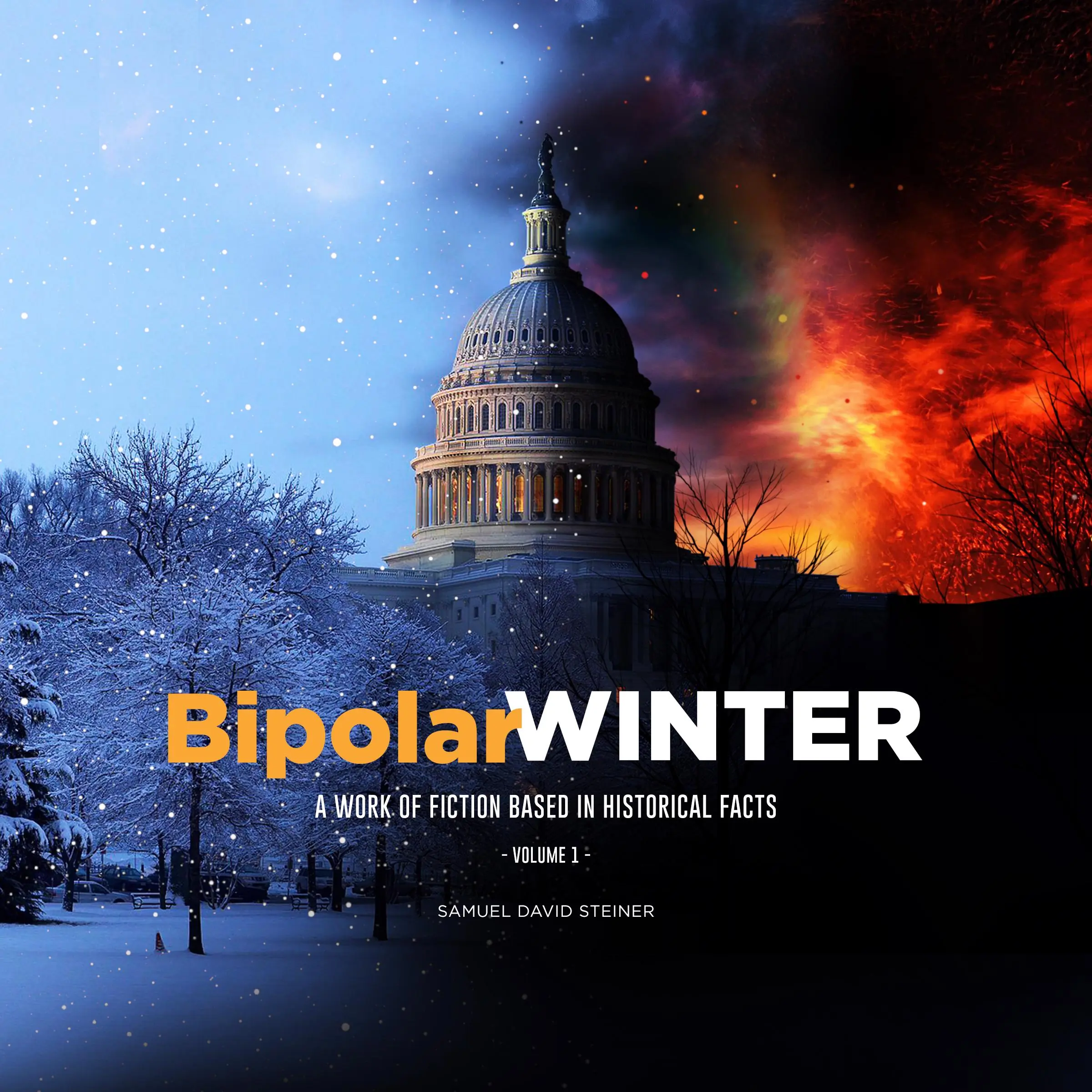 BipolarWINTER, Volume 1 Audiobook by Samuel David Steiner