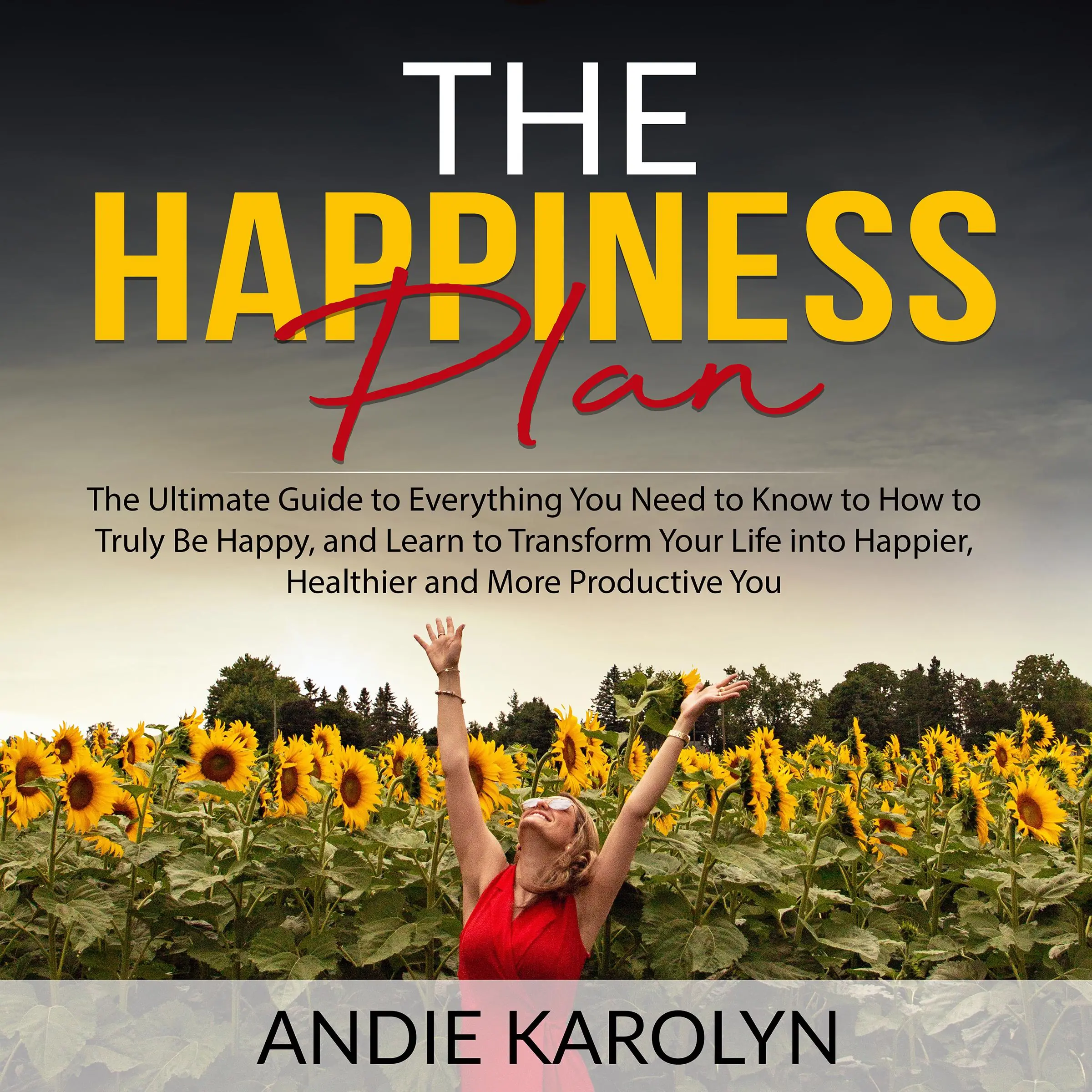 The Happiness Plan: The Ultimate Guide to Everything You Need to Know to How to Truly Be Happy, and Learn to Transform Your Life into Happier, Healthier and More Productive You Audiobook by Andie Karolyn