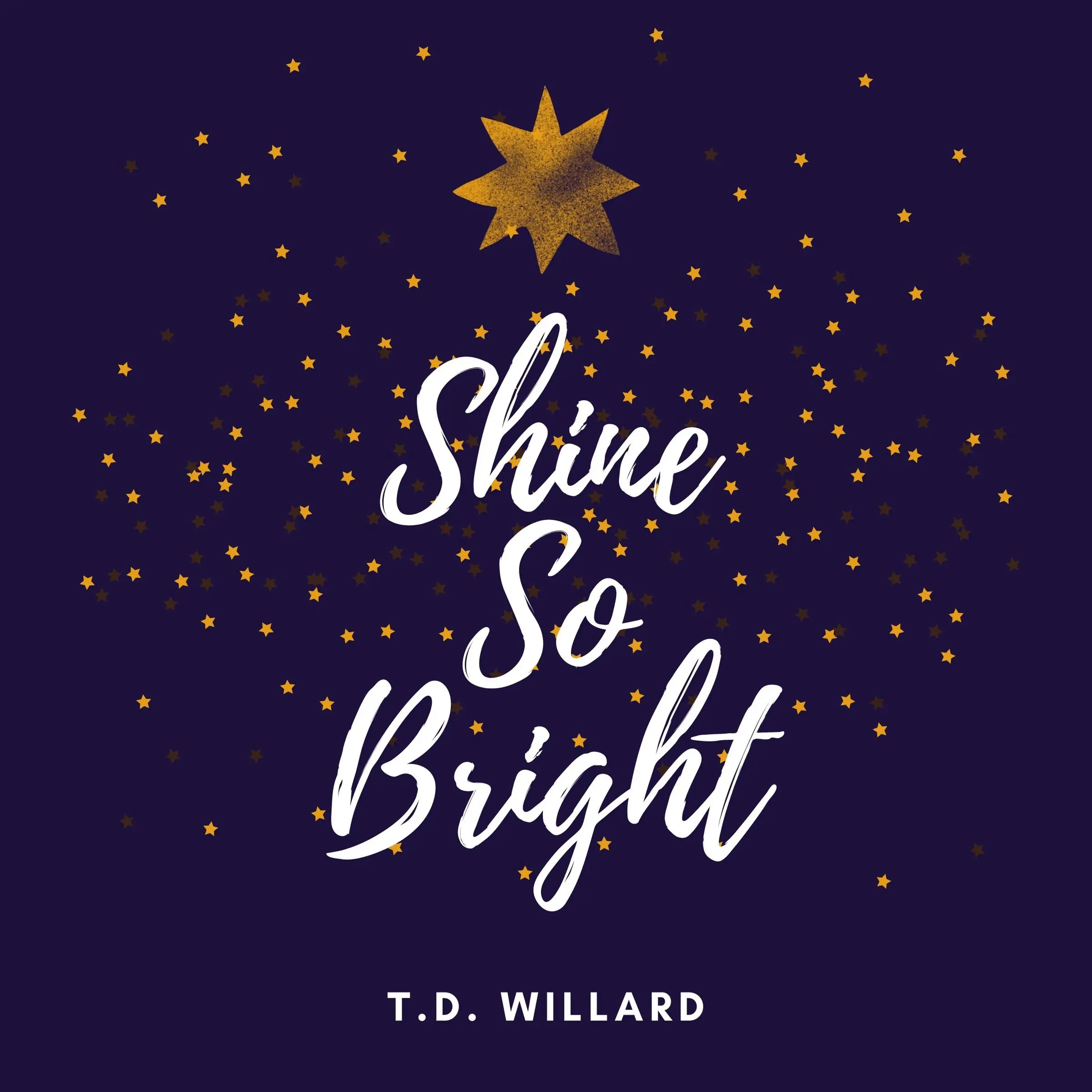 Shine So Bright Audiobook by T.D. Willard