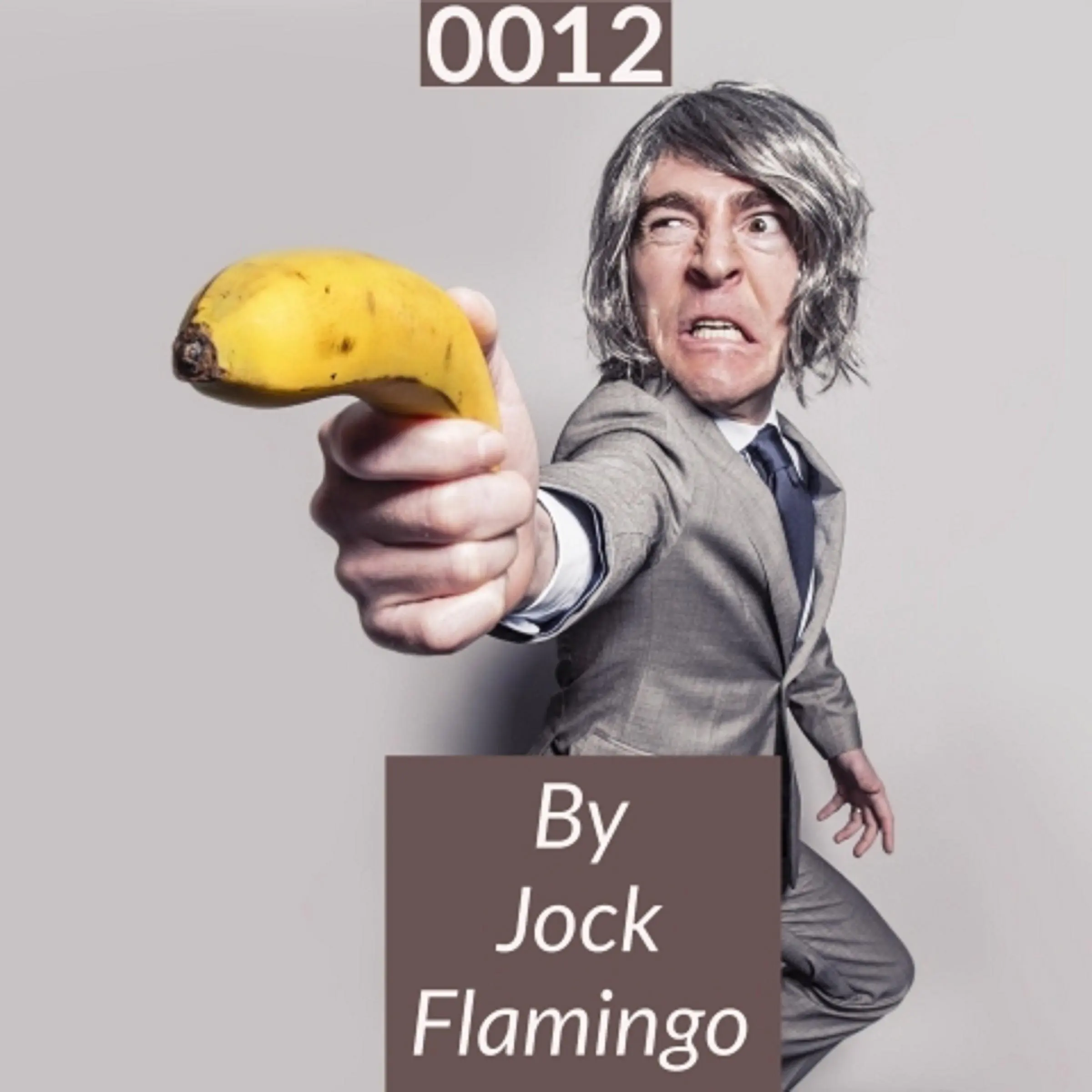 0012 Audiobook by Jock Flamingo