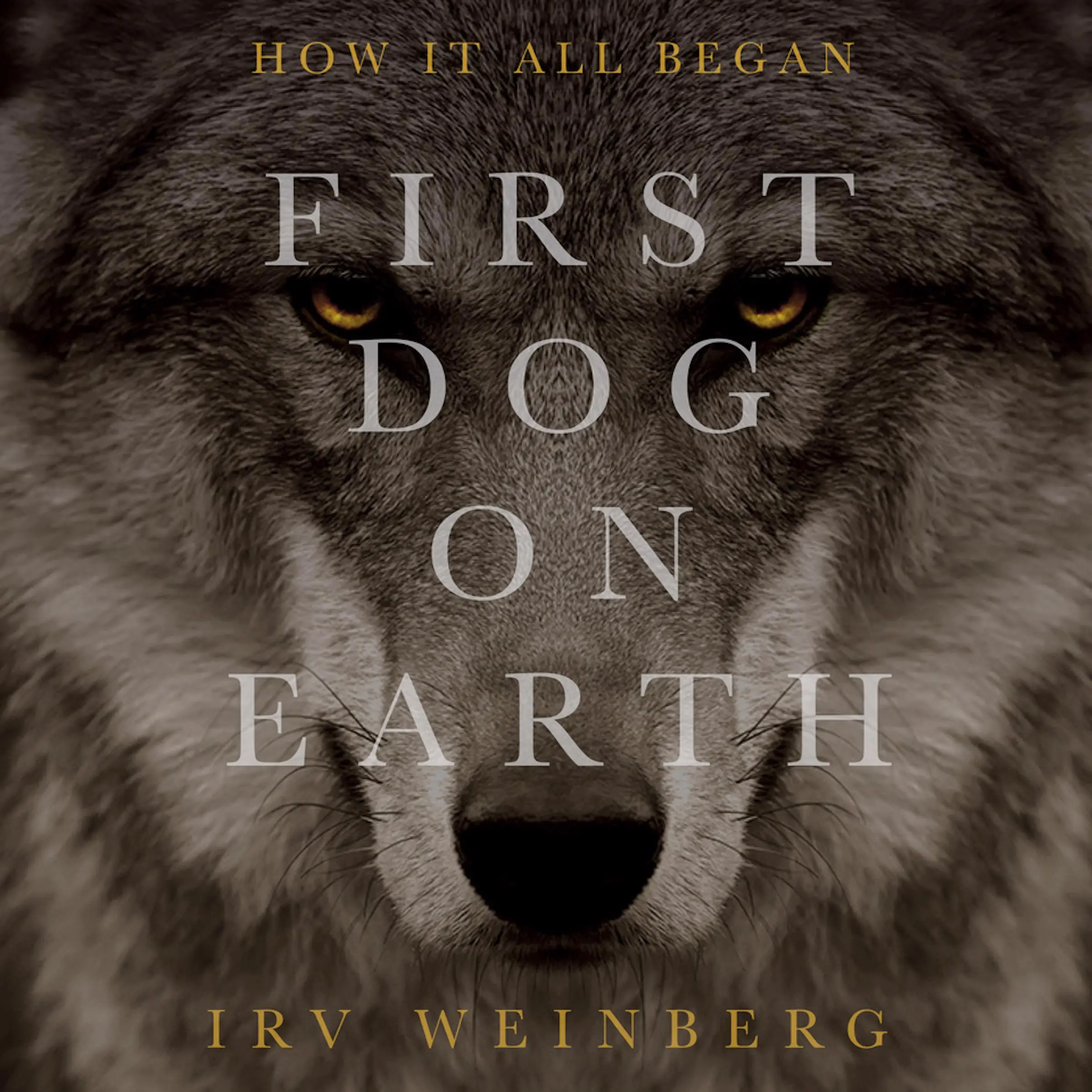 First Dog on Earth Audiobook by Irv Weinberg