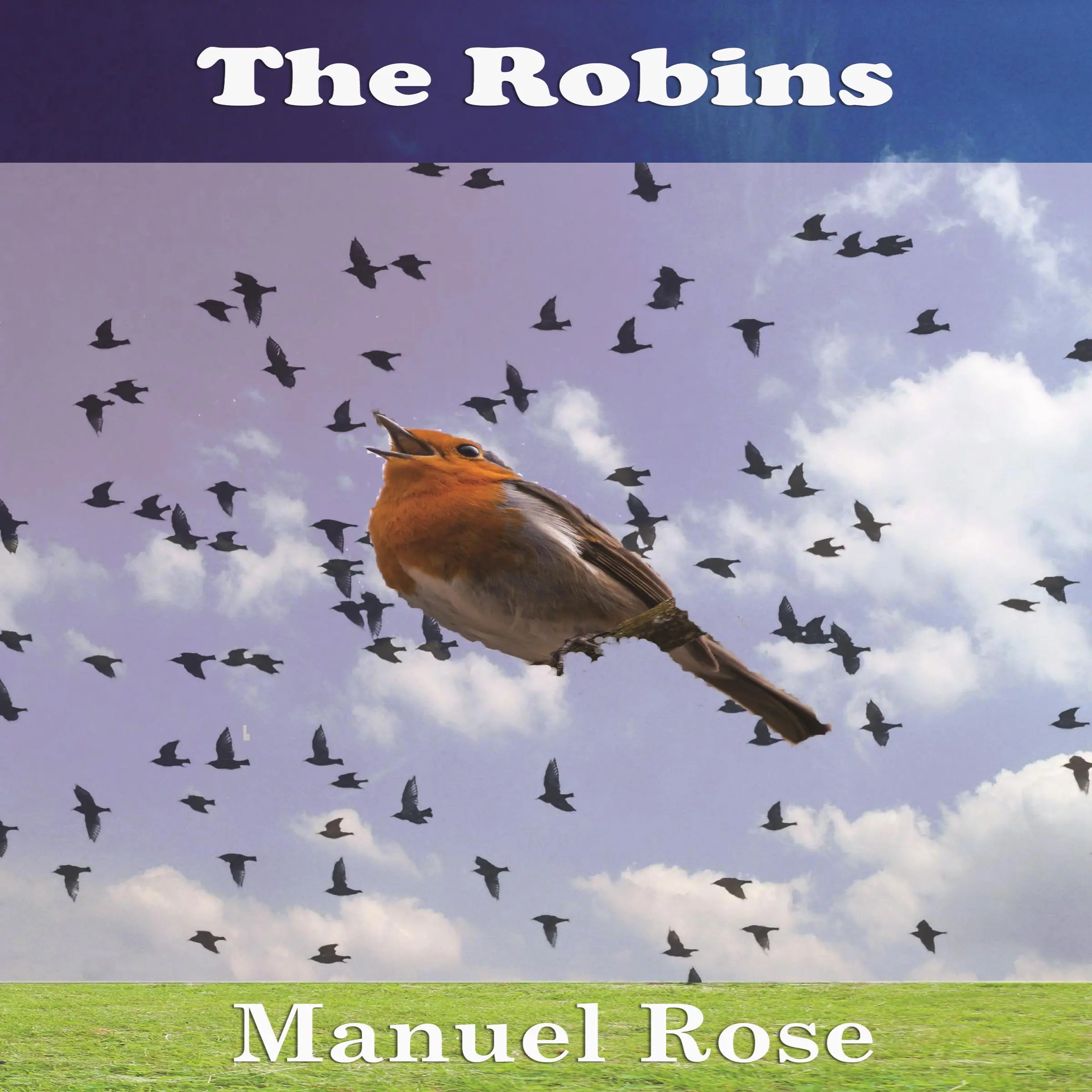 The Robins: A Kids Book by Manuel Rose