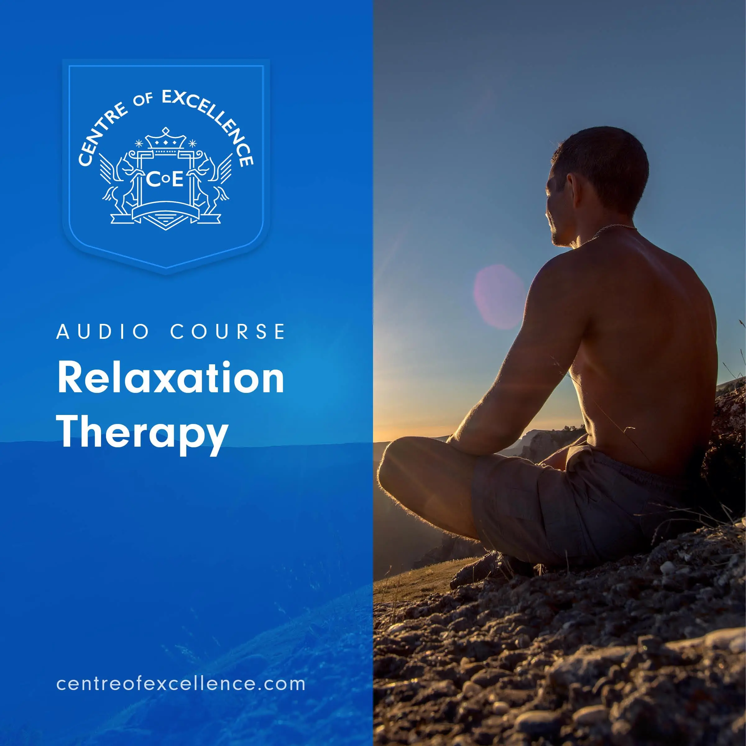 Relaxation Therapy Audiobook by Centre of Excellence