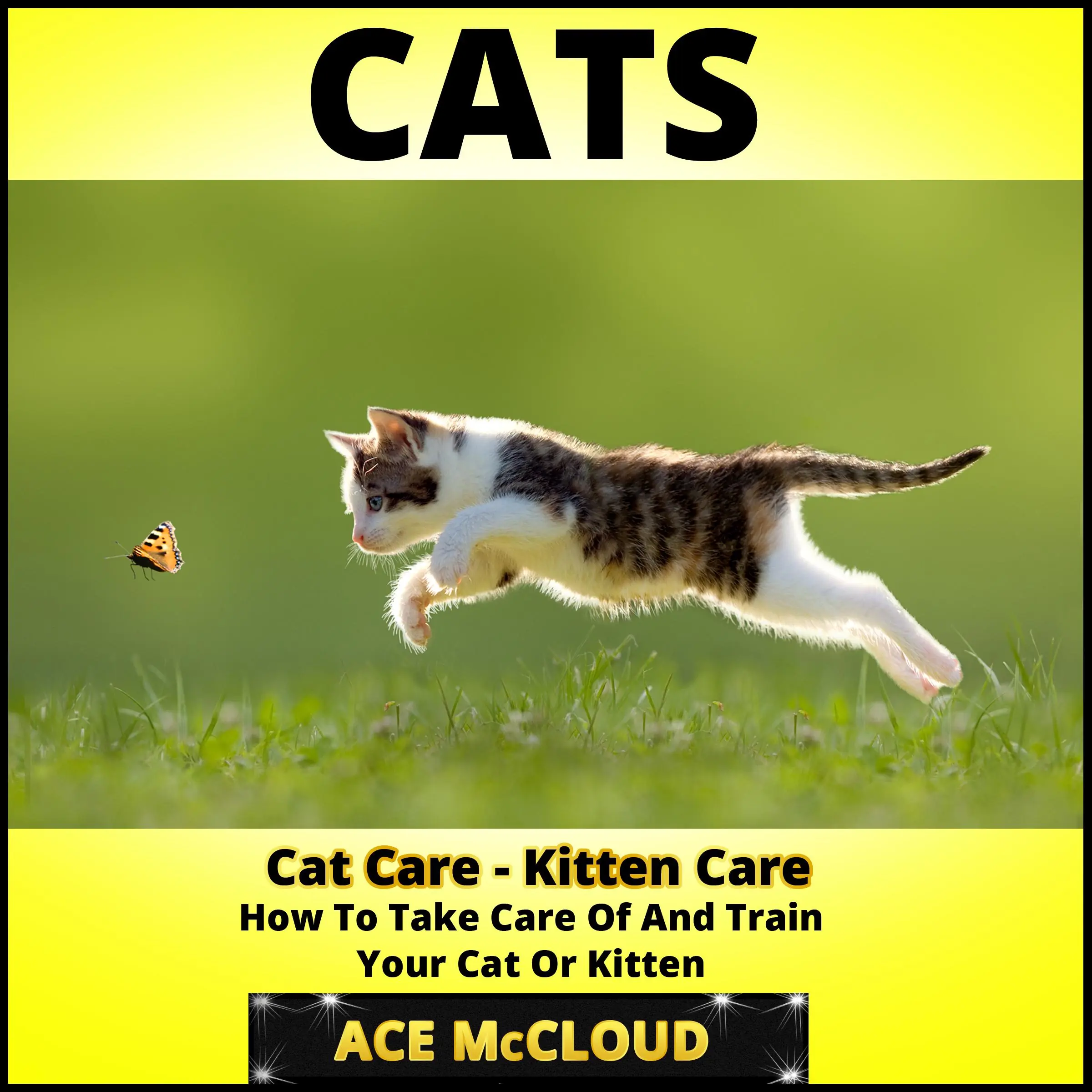 Cats: Cat Care: Kitten Care: How To Take Care Of And Train Your Cat Or Kitten Audiobook by Ace McCloud