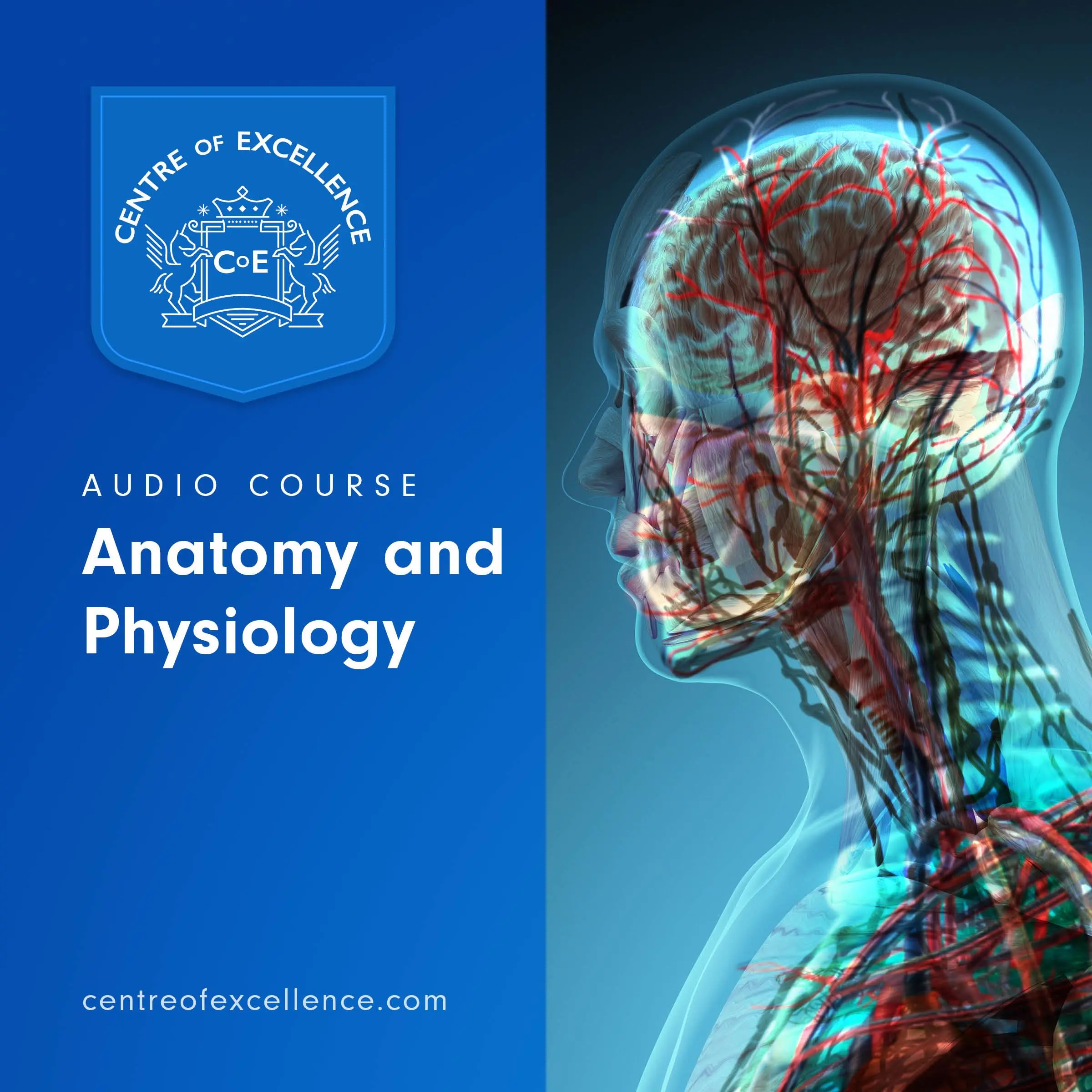 Anatomy and Physiology Audio Course Audiobook by Centre of Excellence