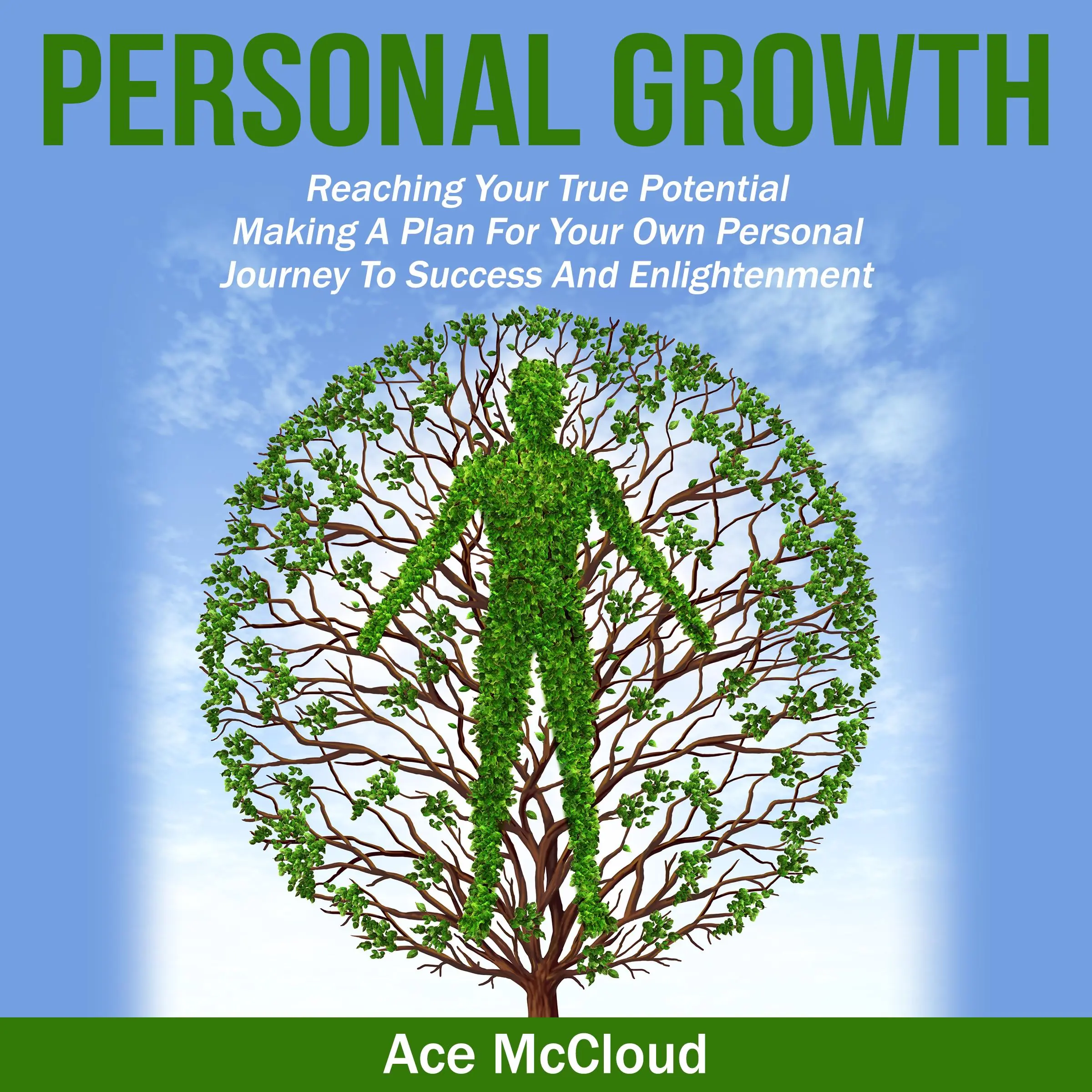 Personal Growth: Reaching Your True Potential: Making A Plan For Your Own Personal Journey To Success And Enlightenment by Ace McCloud Audiobook