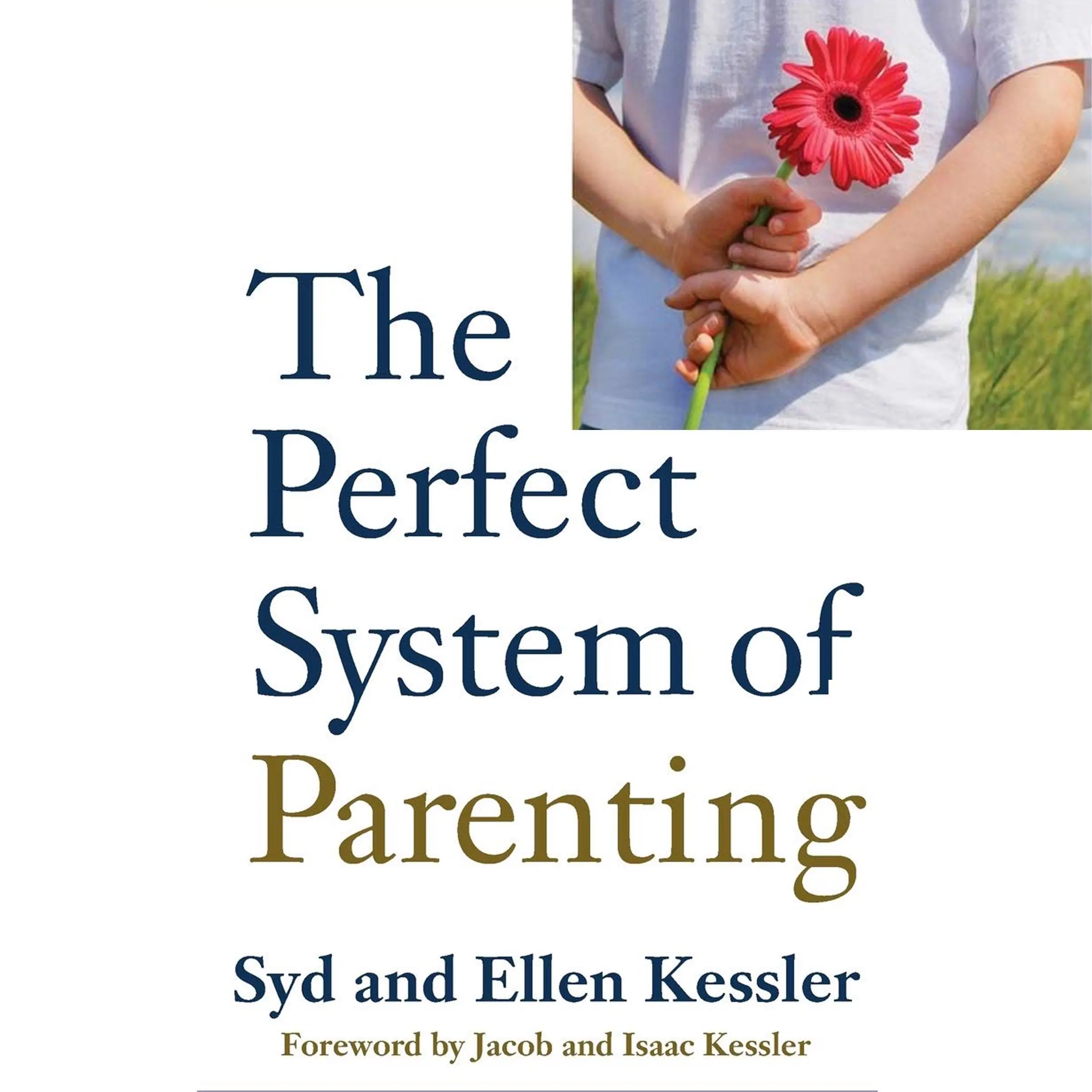 The Perfect System of Parenting Audiobook by Isaac Kessler