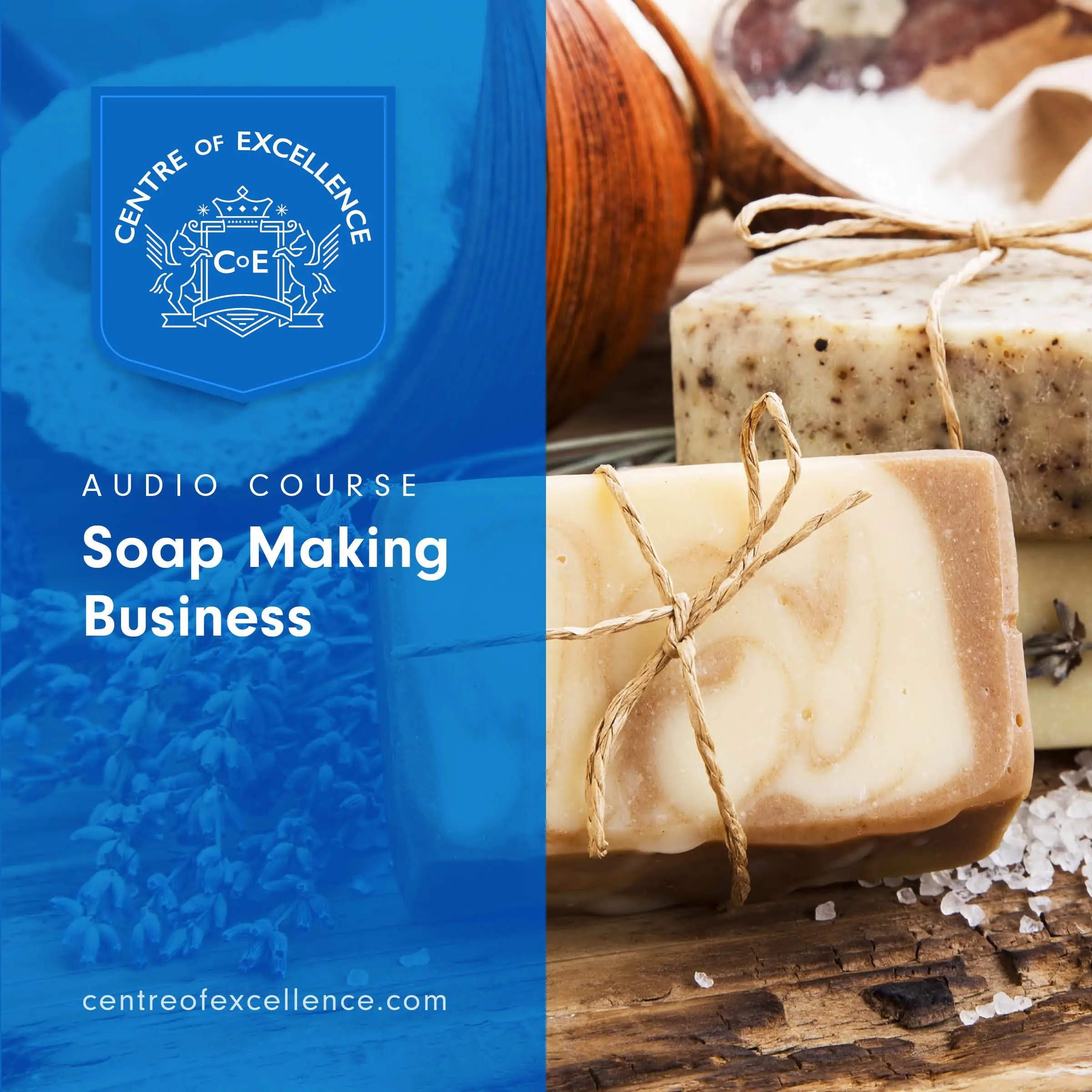 Soap Making Business by Centre of Excellence