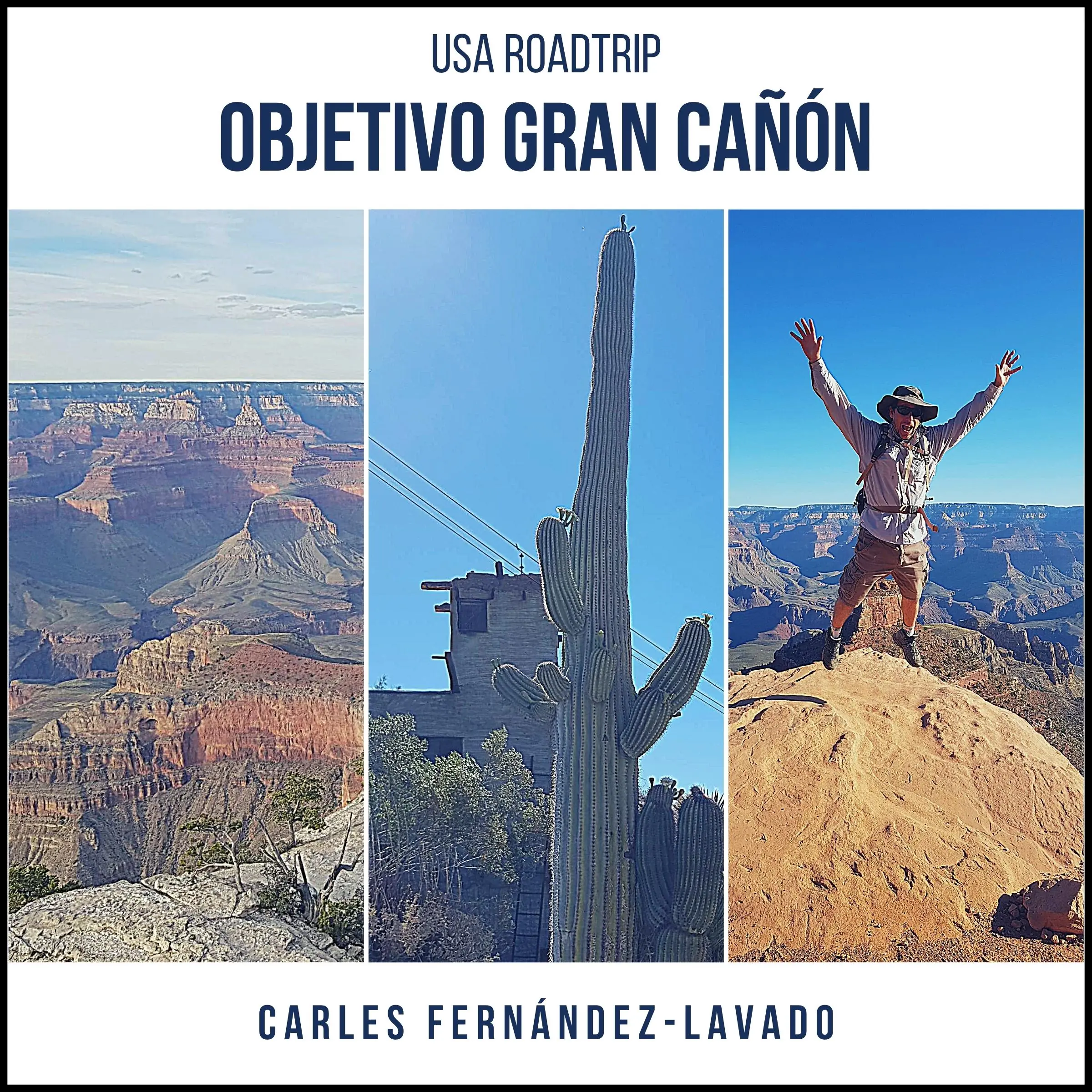 USA Road Trip. Objetivo Gran Cañón by Carles Fernández-Lavado Audiobook