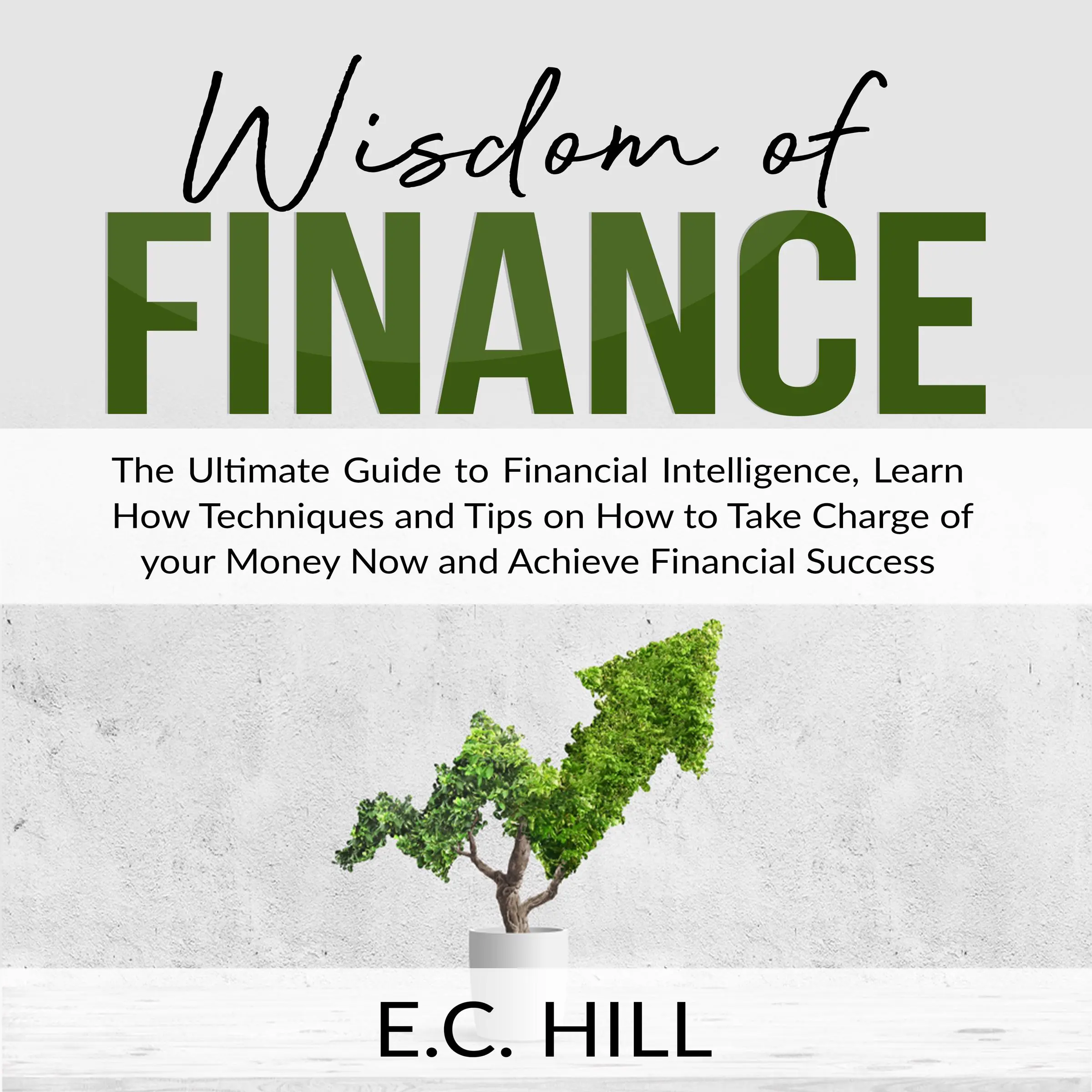 Wisdom of Finance: The Ultimate Guide to Financial Intelligence, Learn How Techniques and Tips on How to Take Charge of your Money Now and Achieve Financial Success by E.C. Hill Audiobook