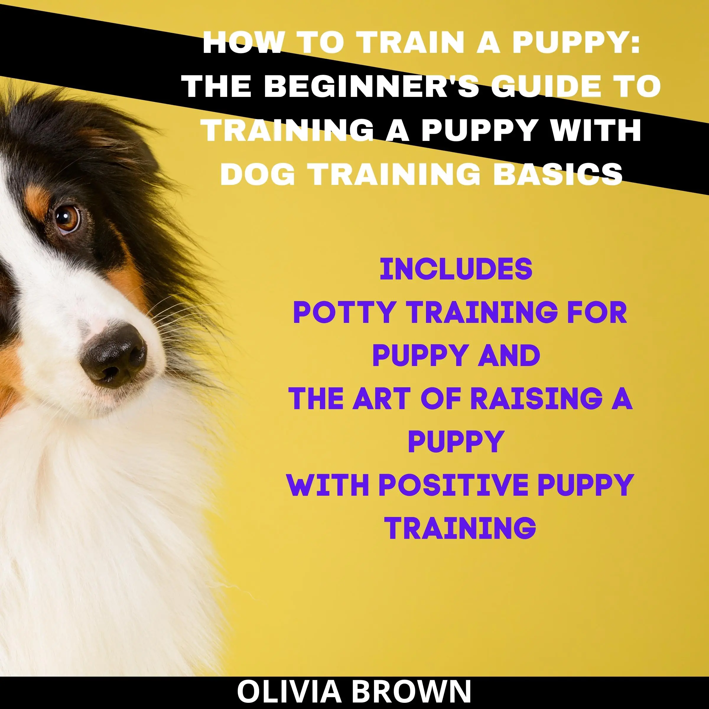 How to Train a Puppy by Olivia Brown