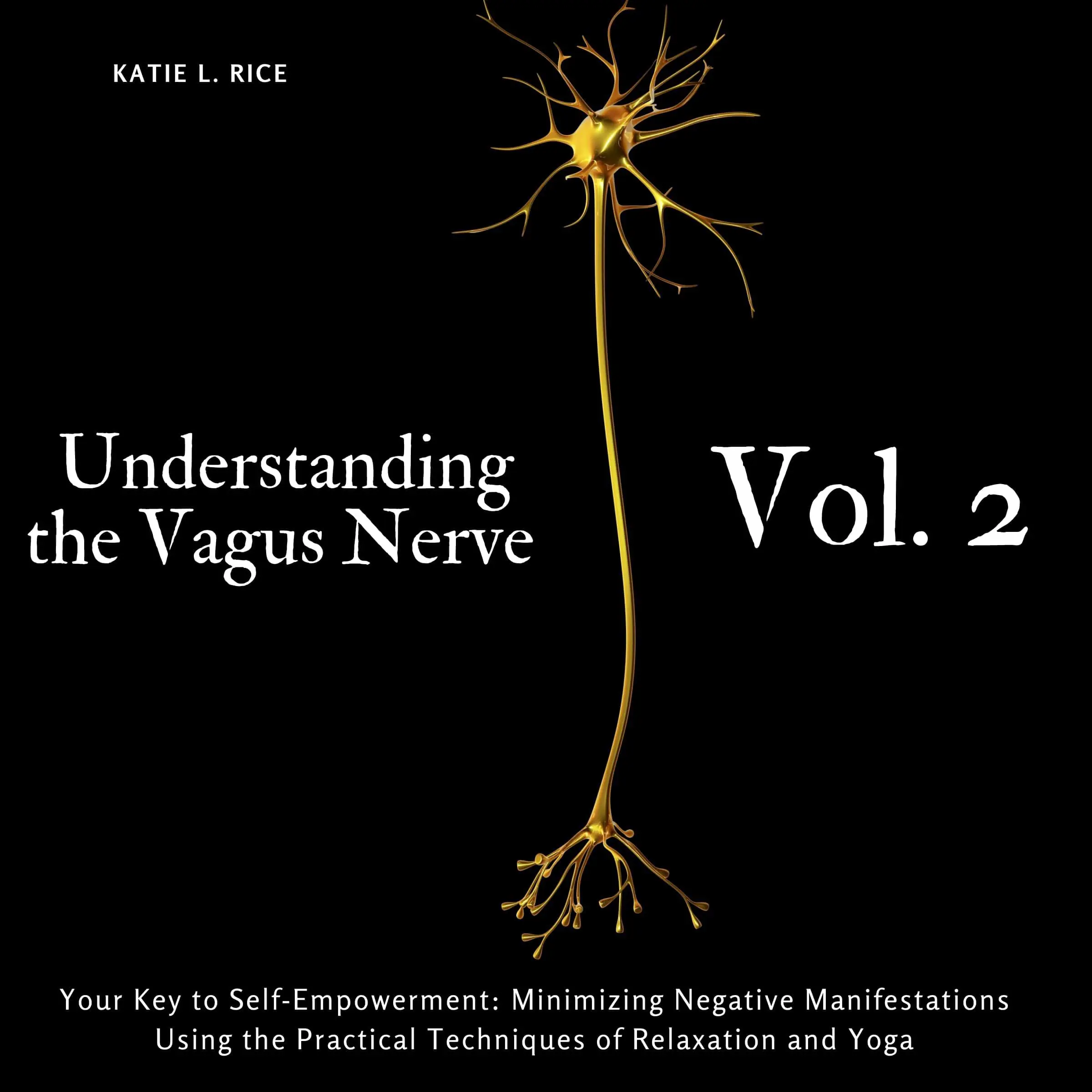 Understanding the Vagus Nerve - Vol. 2 by Katie L Rice Audiobook