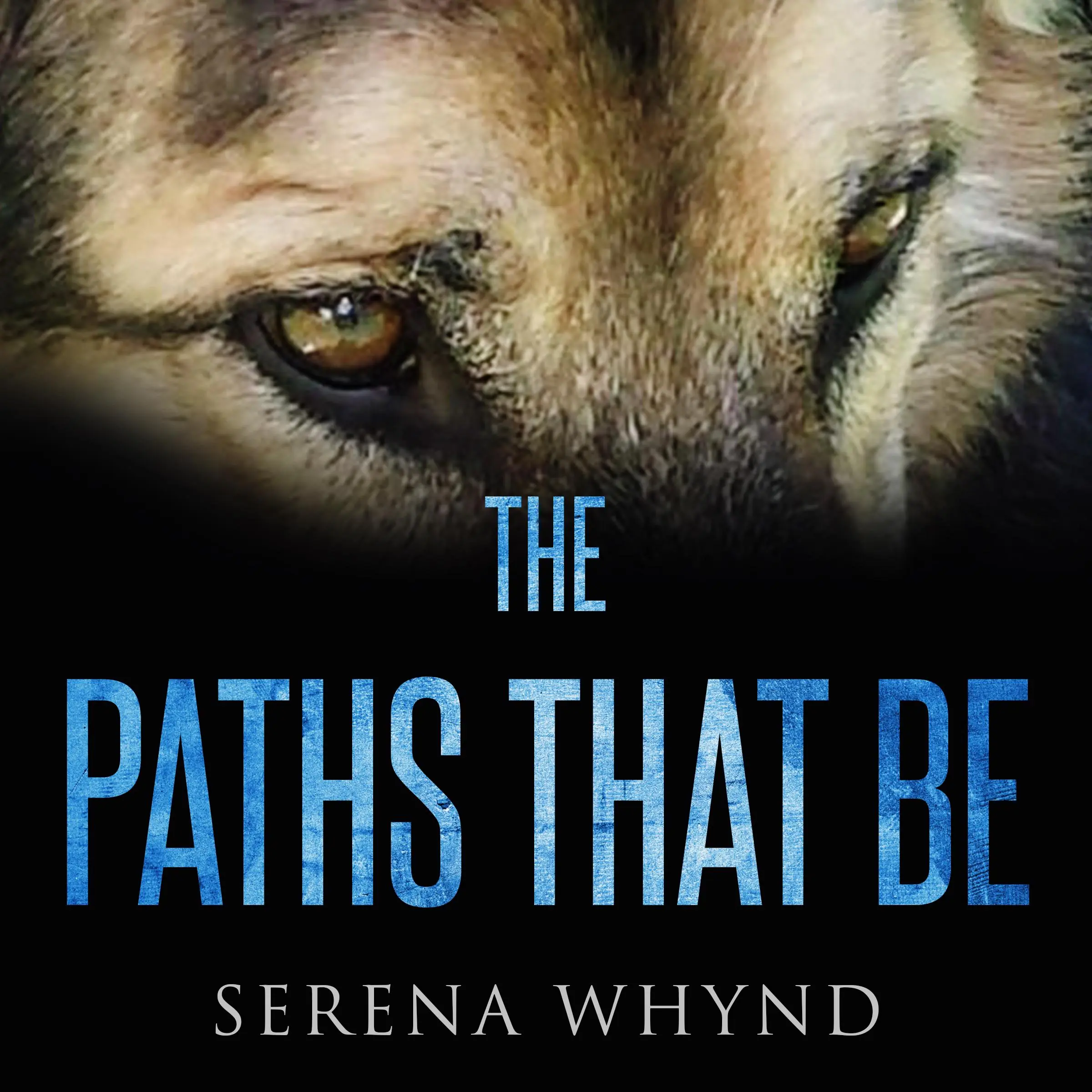 The Paths That Be Audiobook by Serena Whynd