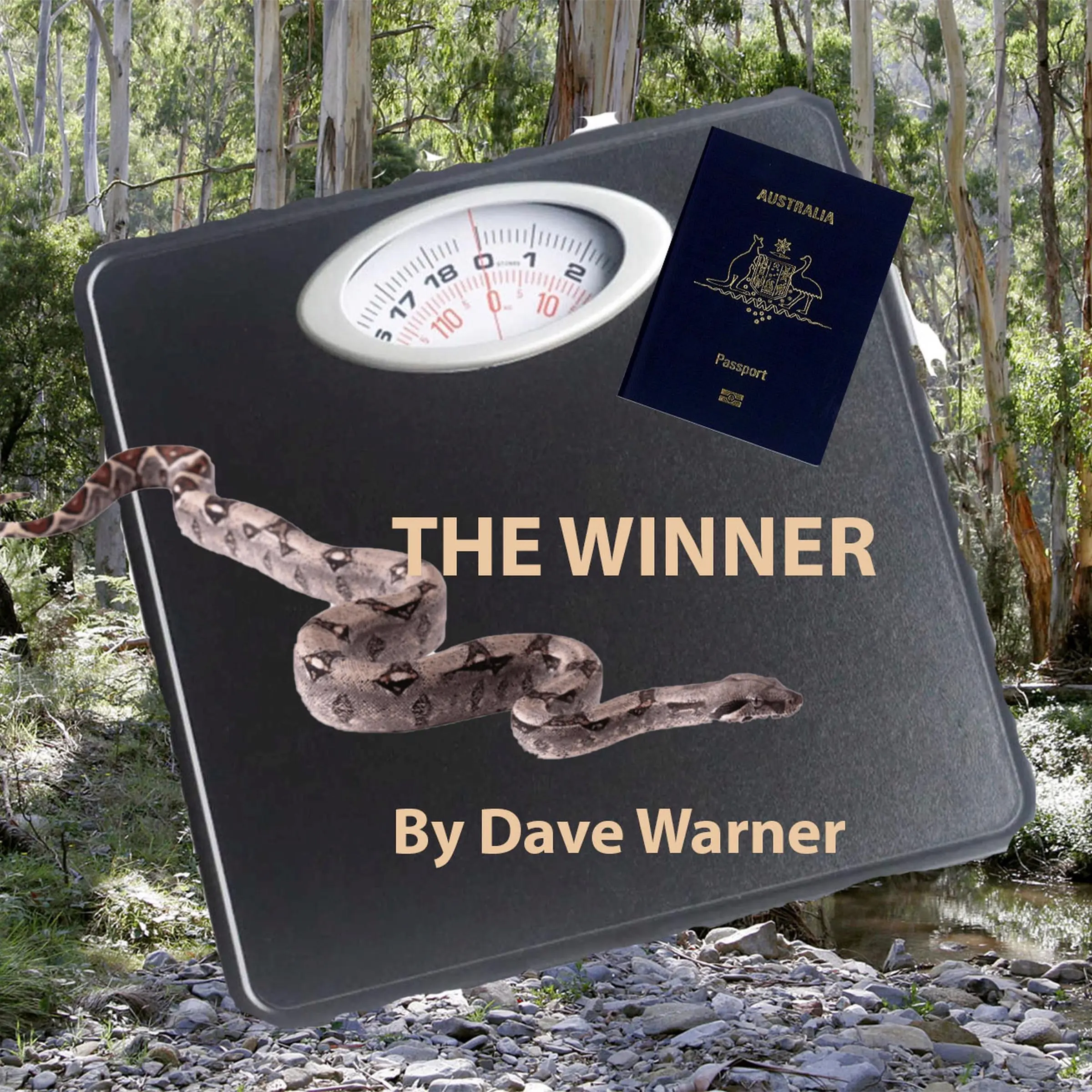 The Winner Audiobook by Dave Warner