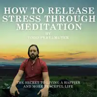 How To Release Stress Through Meditation Audiobook by Todd Perelmuter