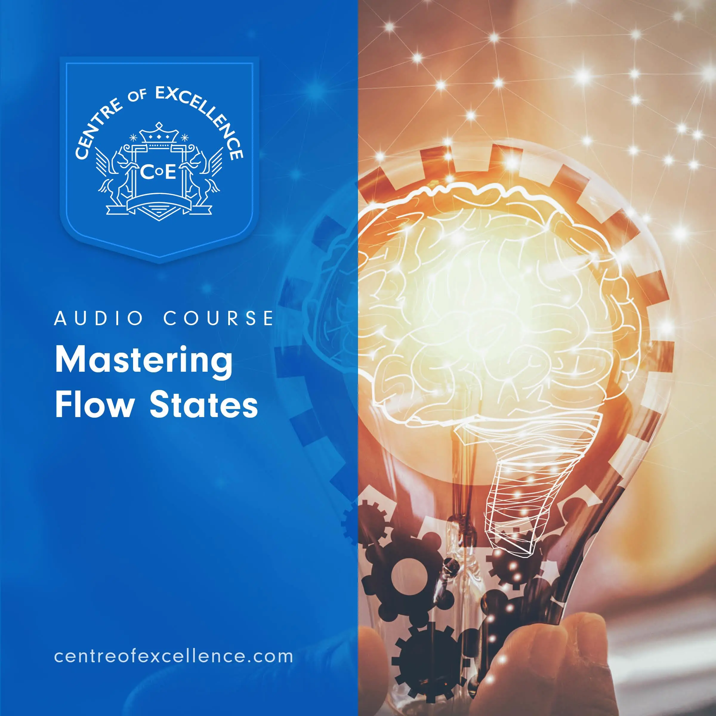 Mastering Flow States by Centre of Excellence