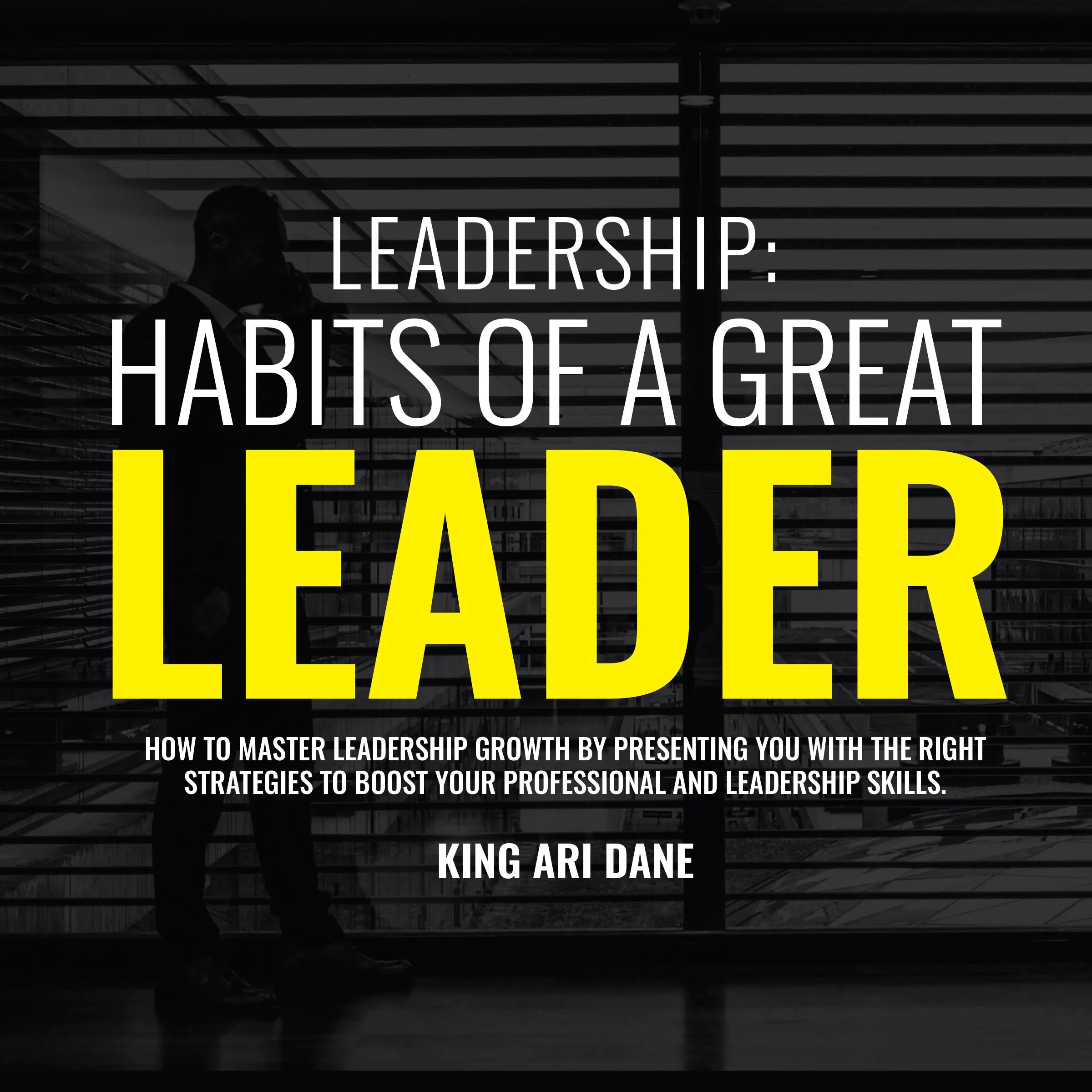 Leadership Audiobook by King Ari Dane