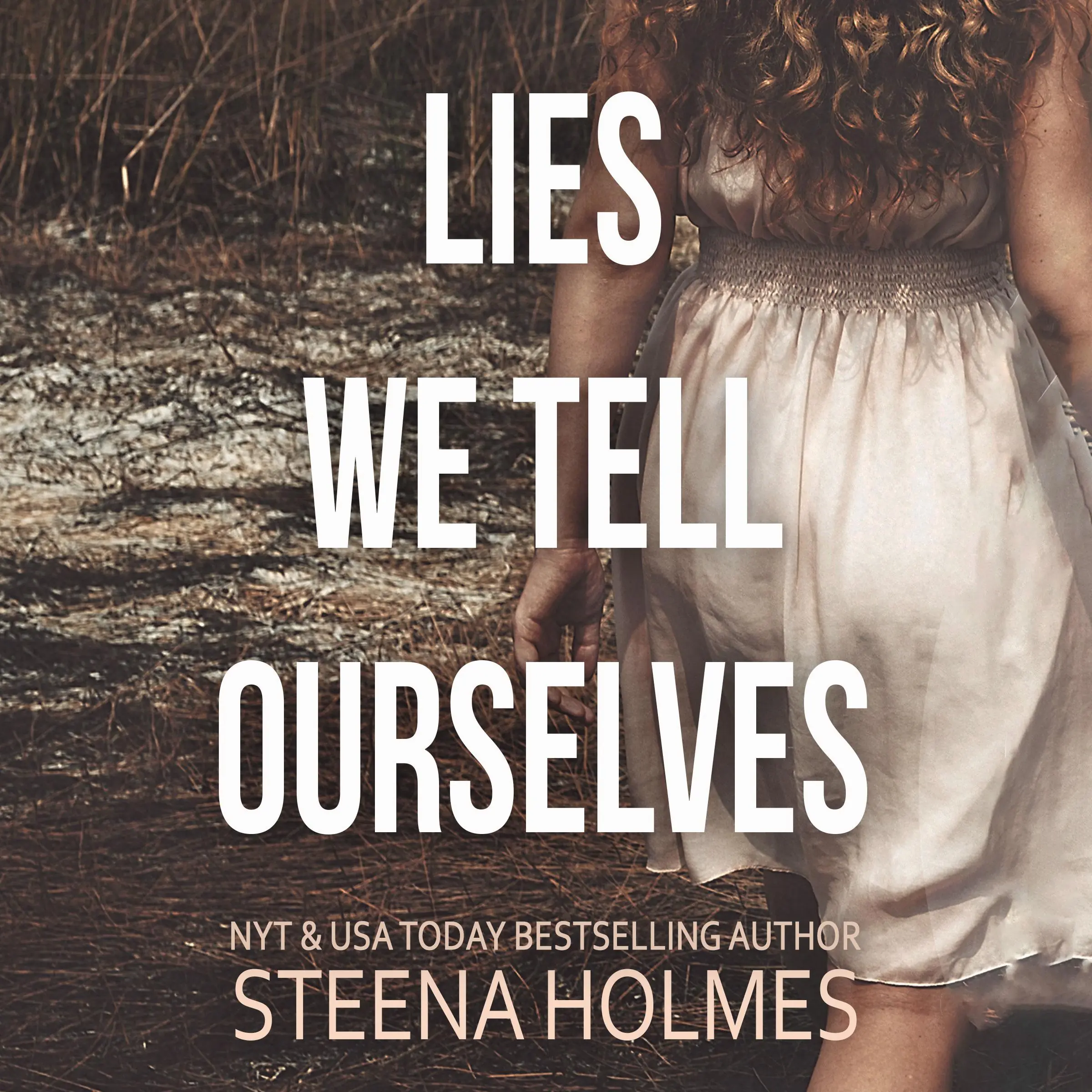 Lies We Tell Ourselves Audiobook by Steena Holmes