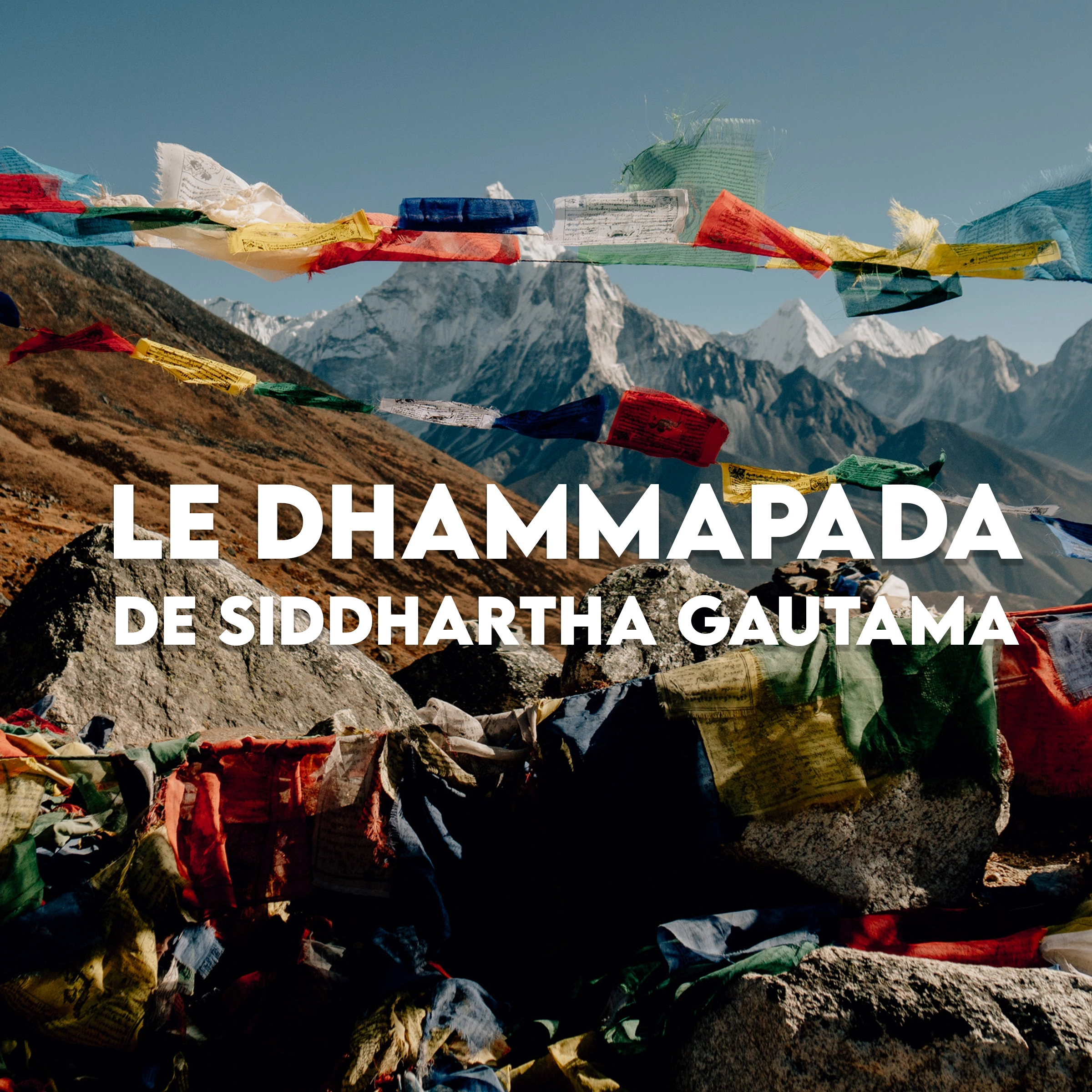 Le Dhammapada: Livre Audio Meditation Bouddhiste Audiobook by Siddhartha Gautama