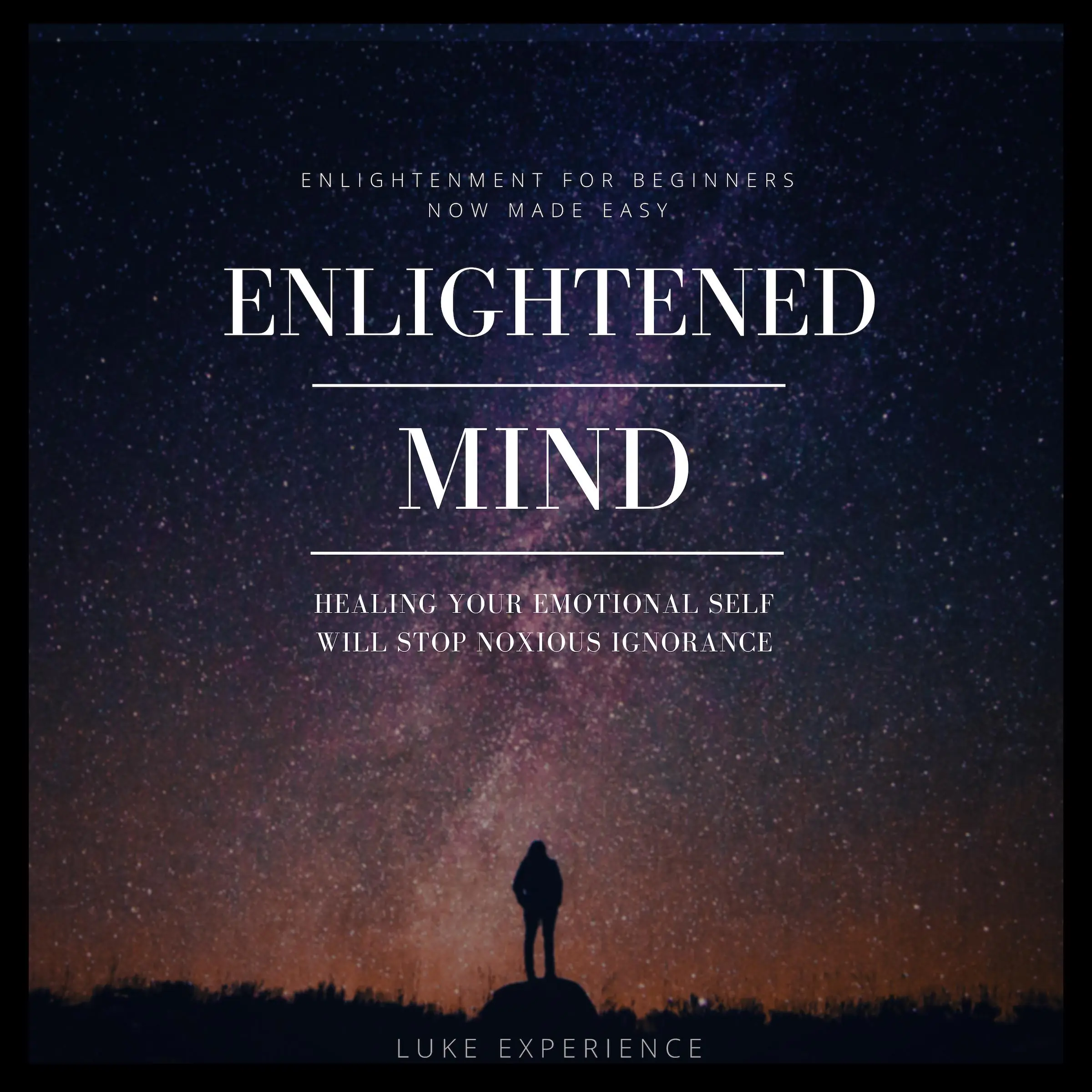 Enlightened Mind Audiobook by Luke Experience