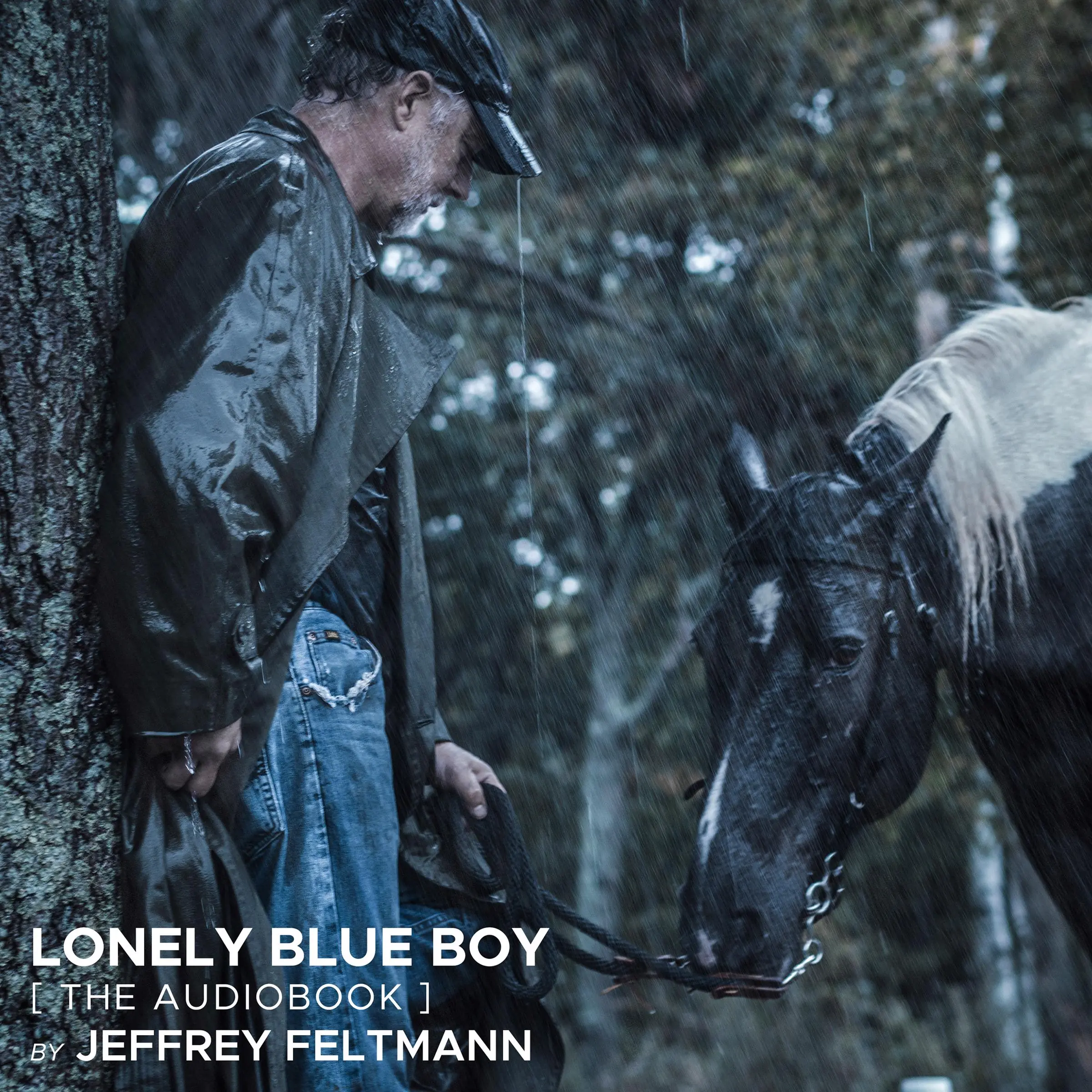 Lonely Blue Boy Audiobook by Jeffrey Feltmann