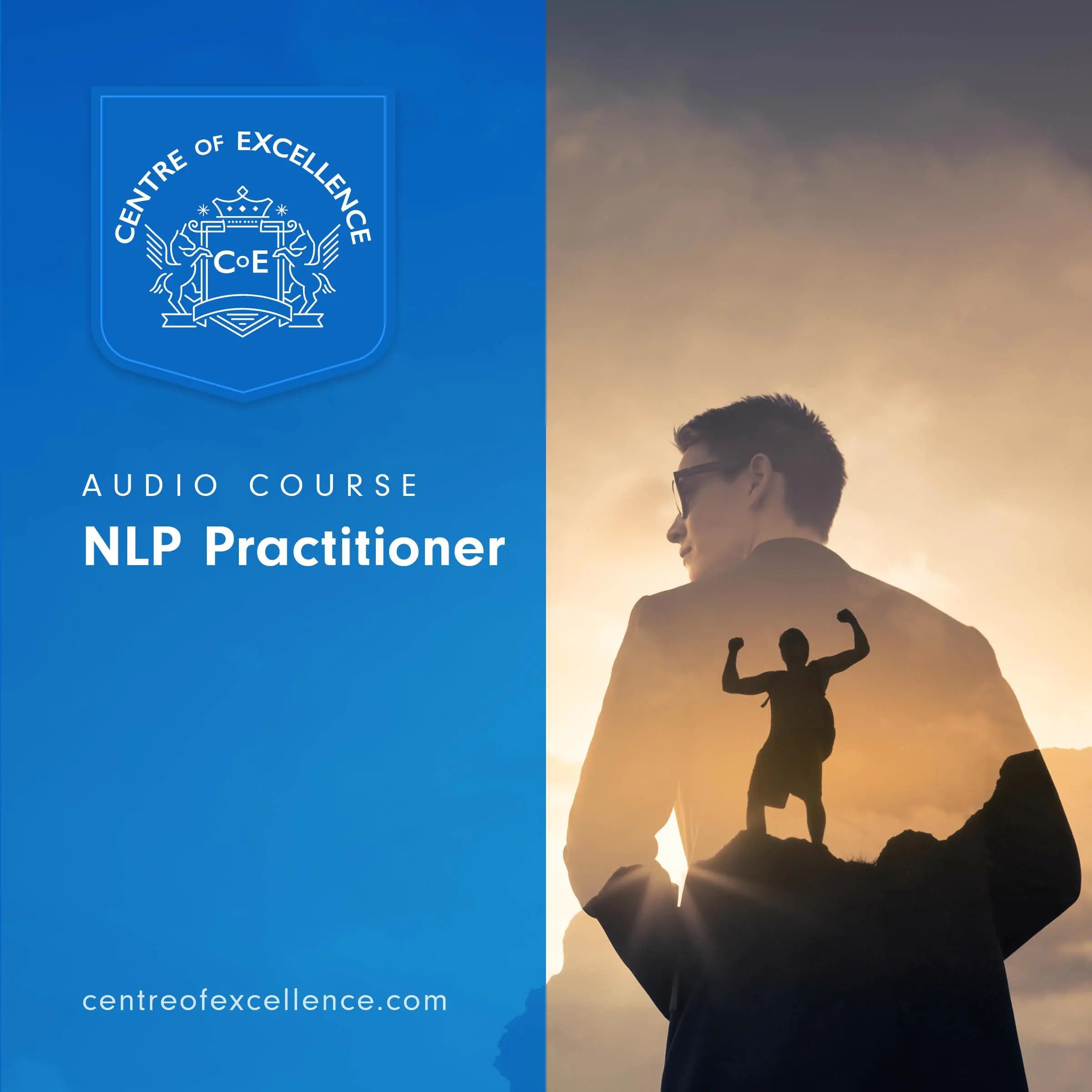 NLP Practitioner by Centre of Excellence Audiobook