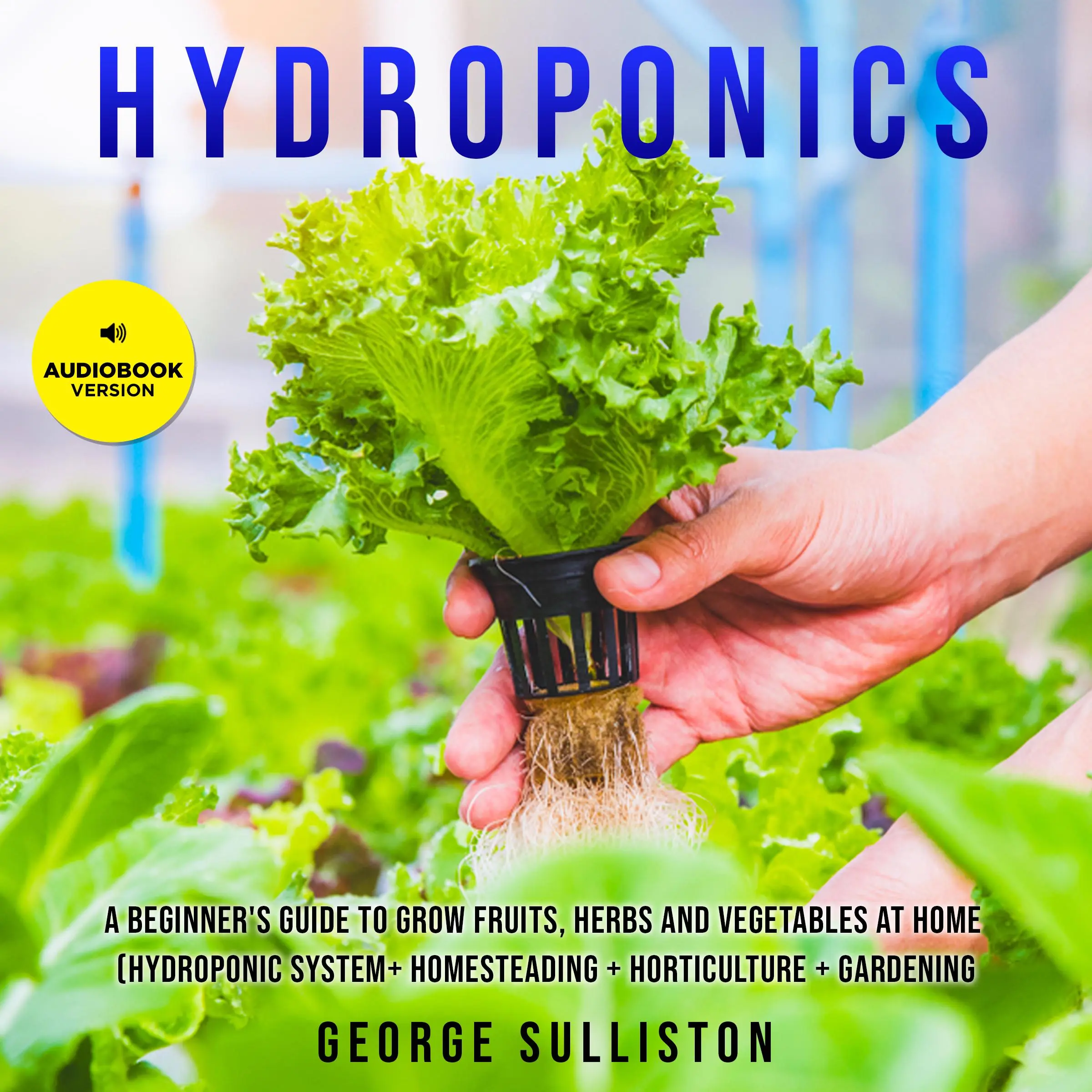 Hydroponics by George Sulliston