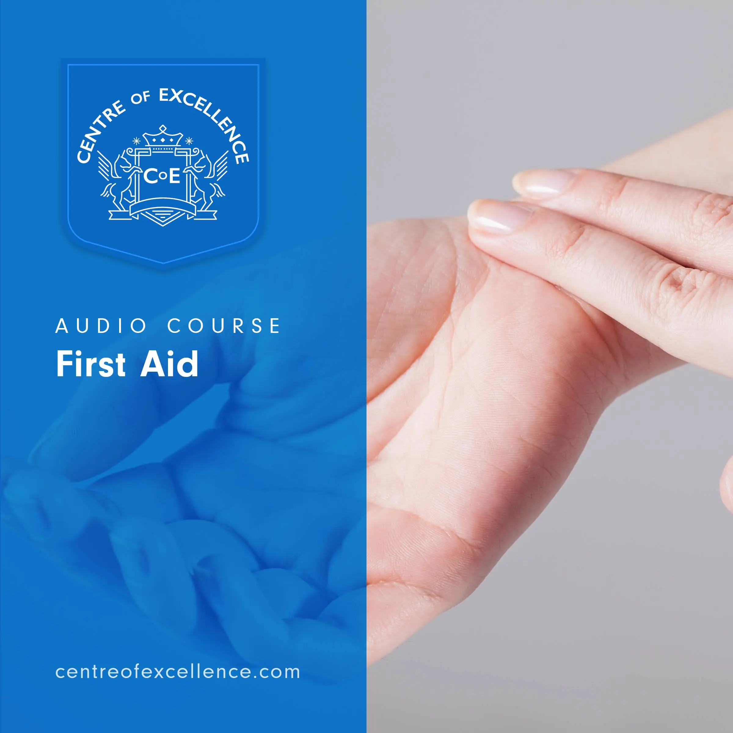 First Aid Audiobook by Centre of Excellence