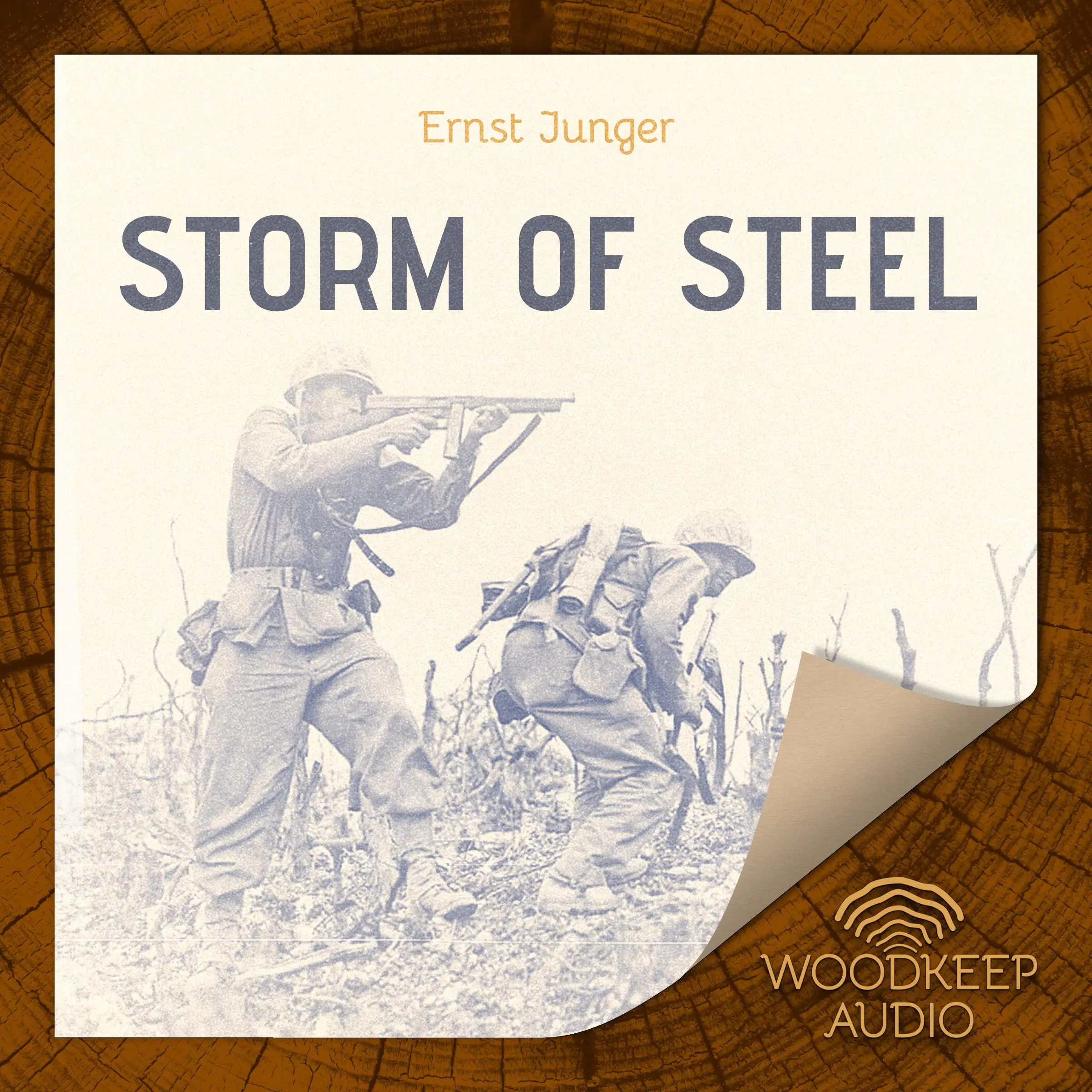 The Storm of Steel by Ernst Junger