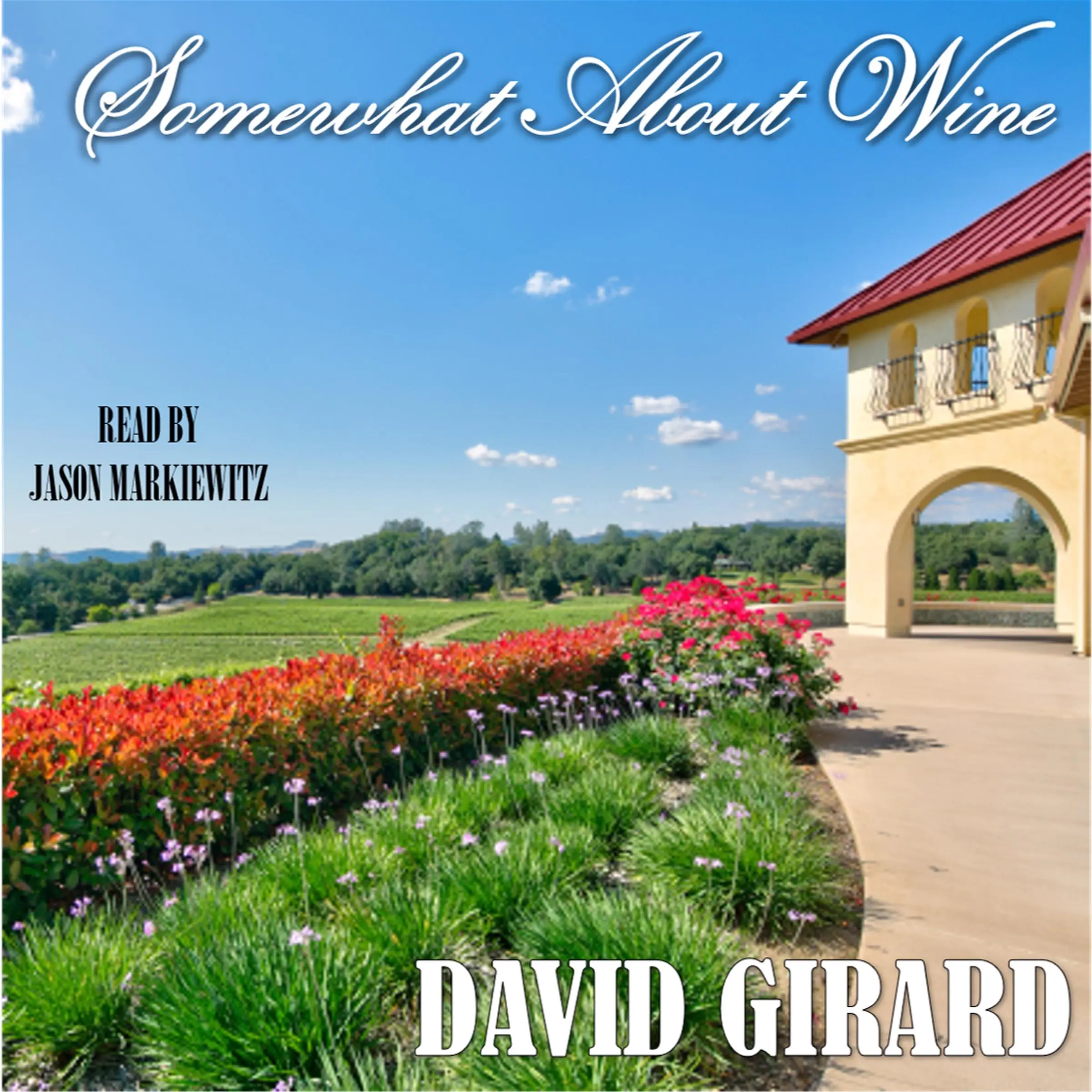 Somewhat About Wine Audiobook by David Girard