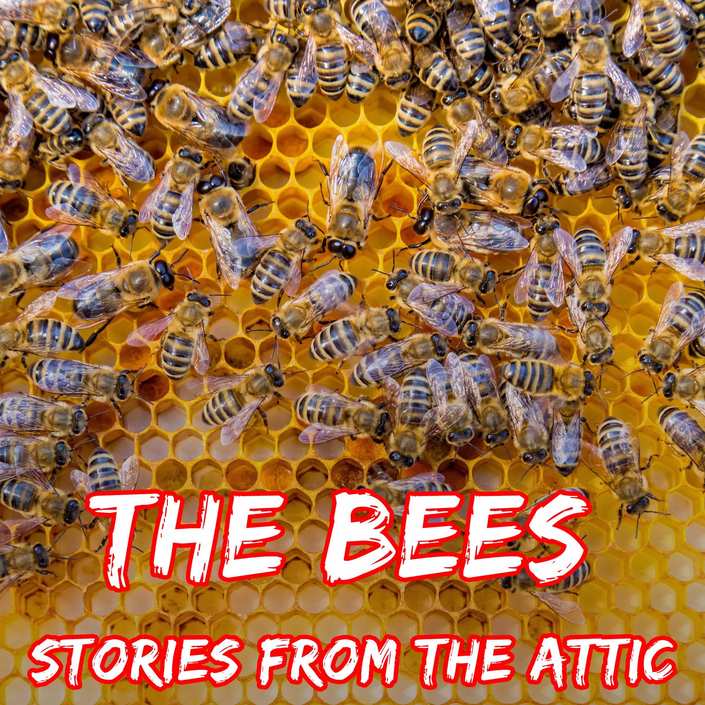 The Bees by Stories From The Attic