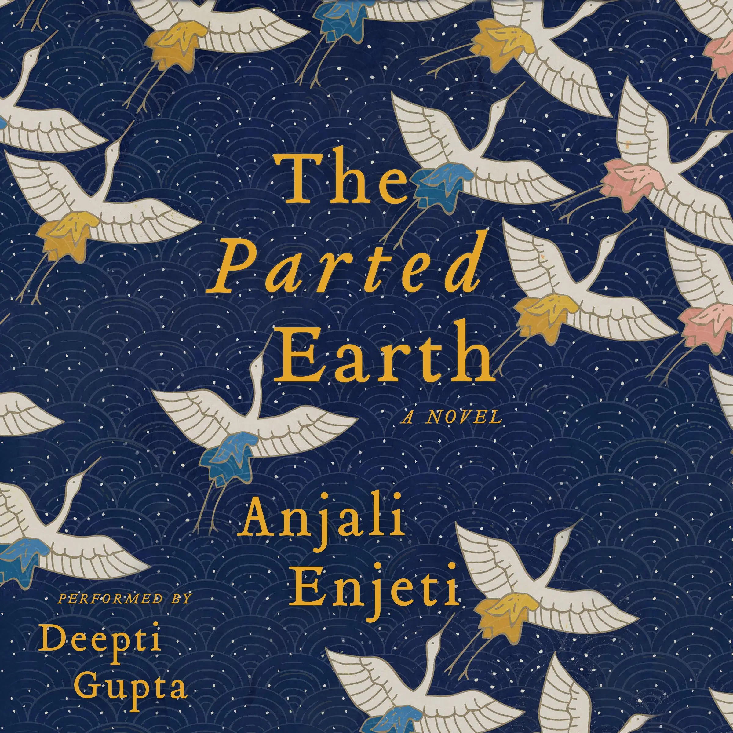 The Parted Earth by Anjali Enjeti Audiobook