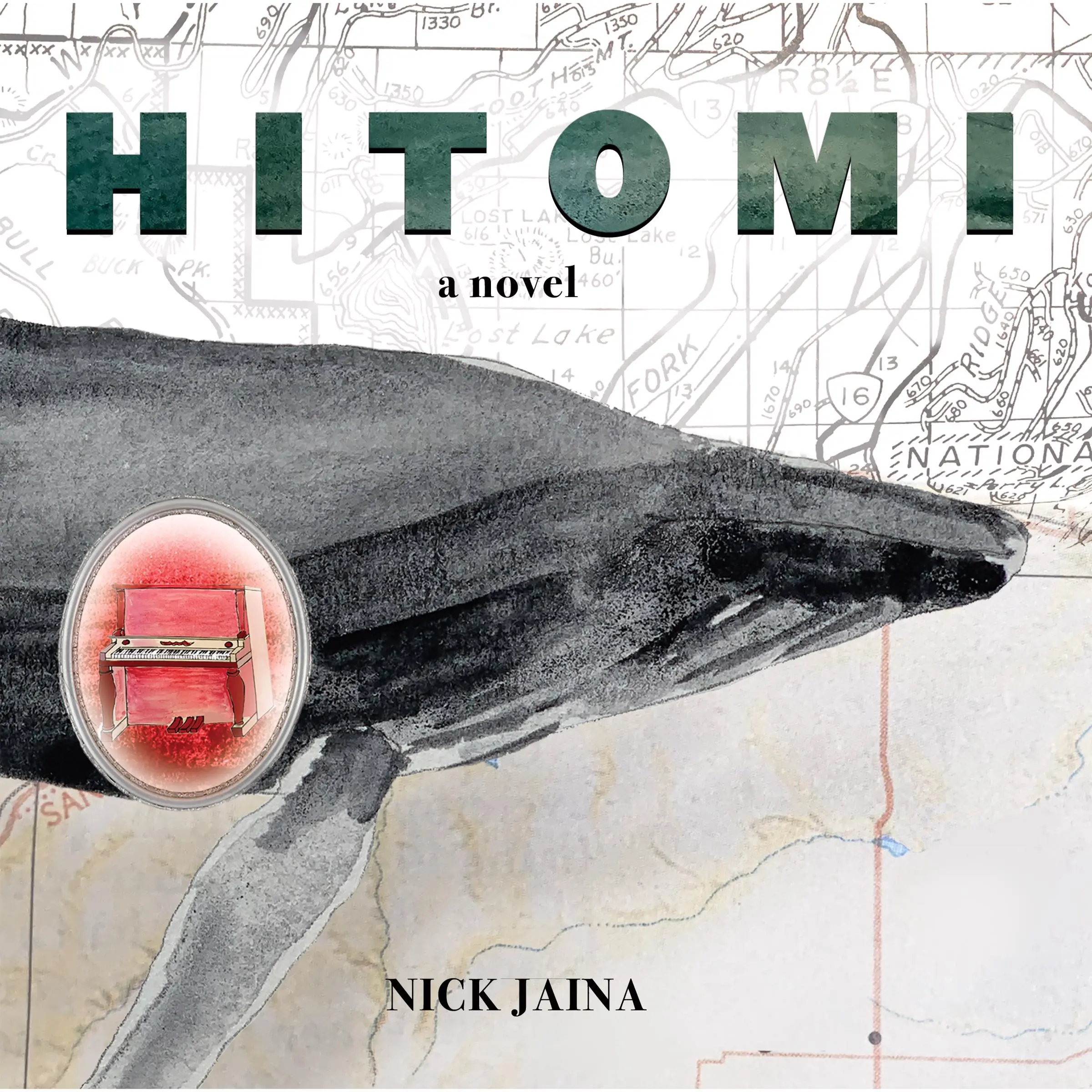 Hitomi by Nick Jaina Audiobook