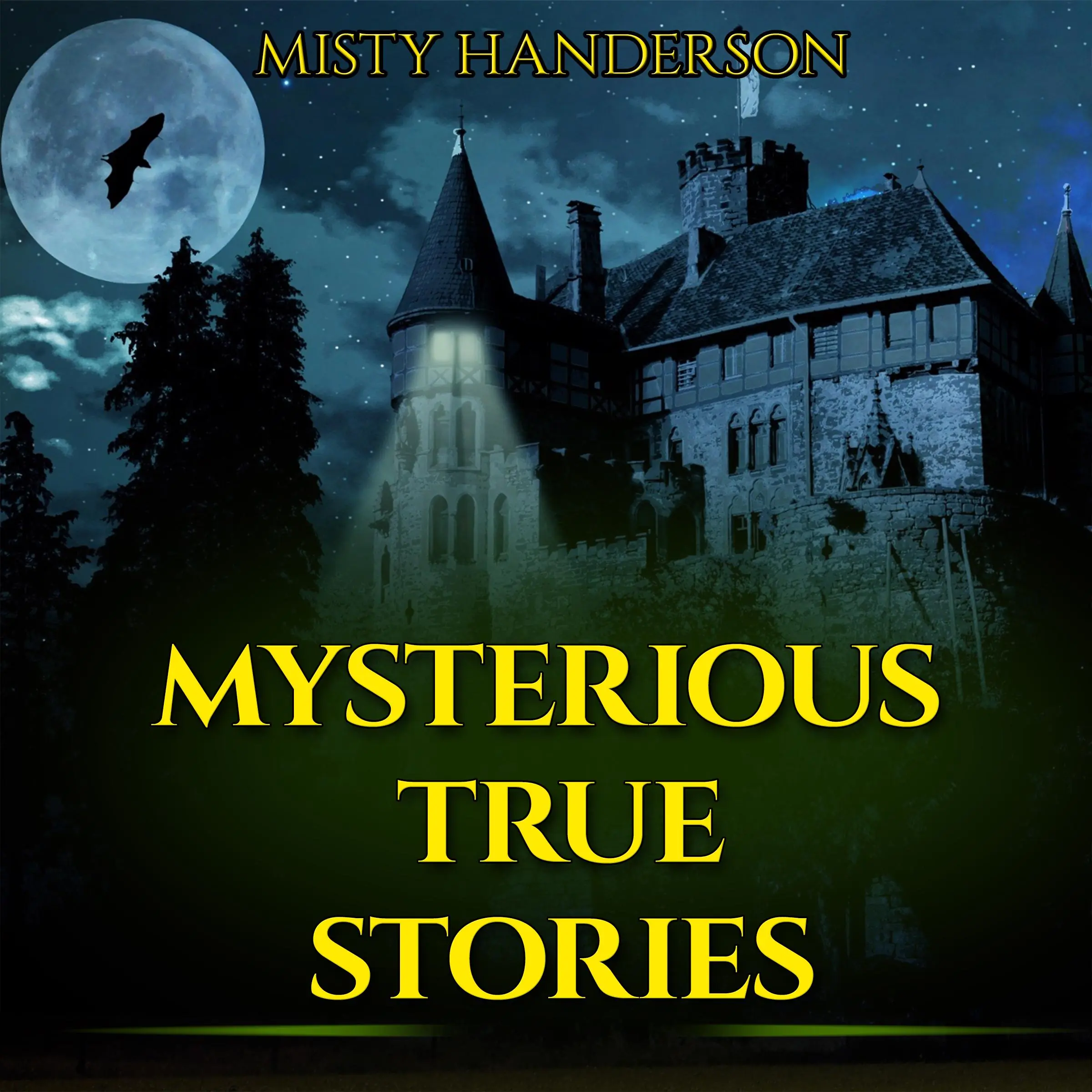 Mysterious True Stories by Misty Handerson Audiobook