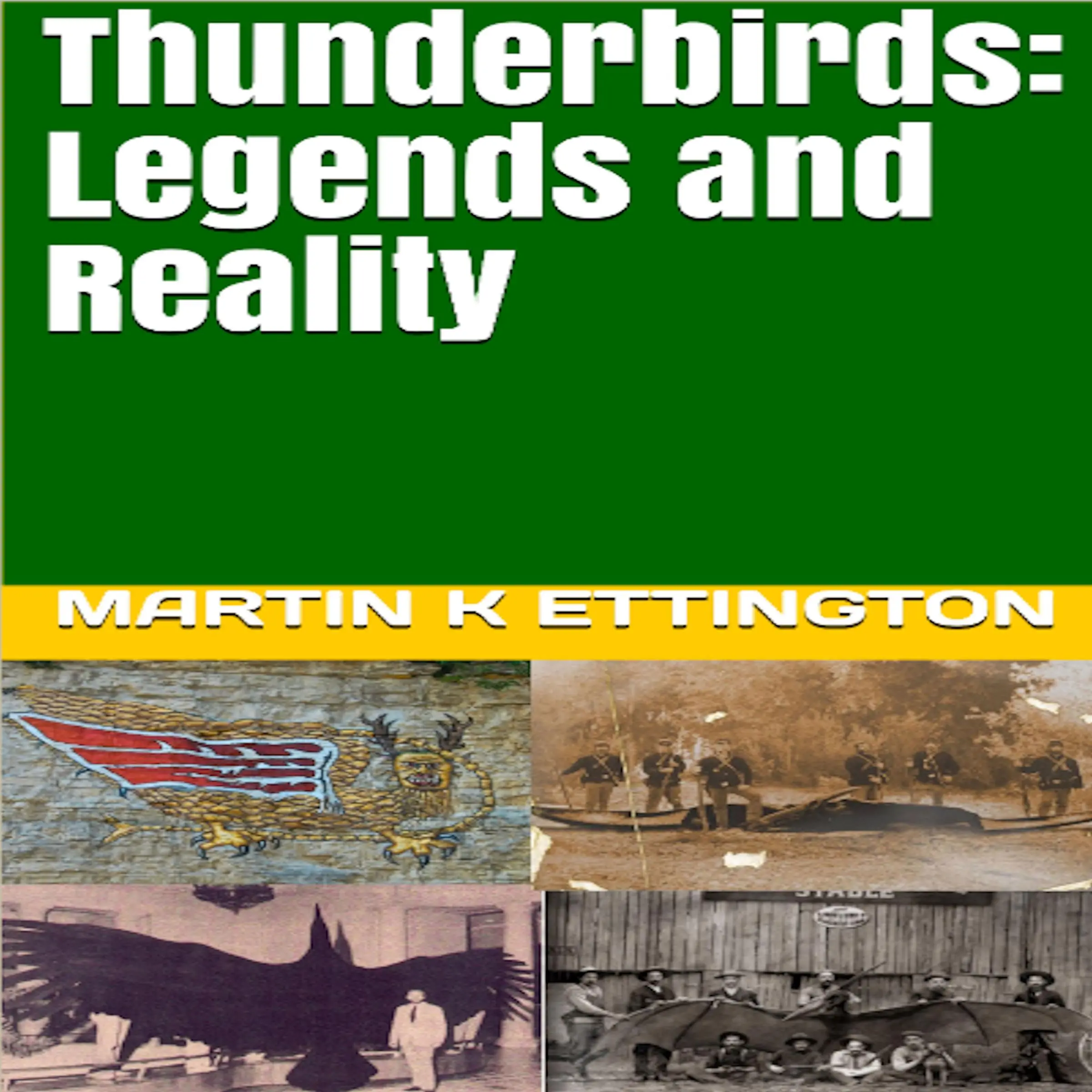 Thunderbirds: Legends and Reality Audiobook by Martin K. Ettington