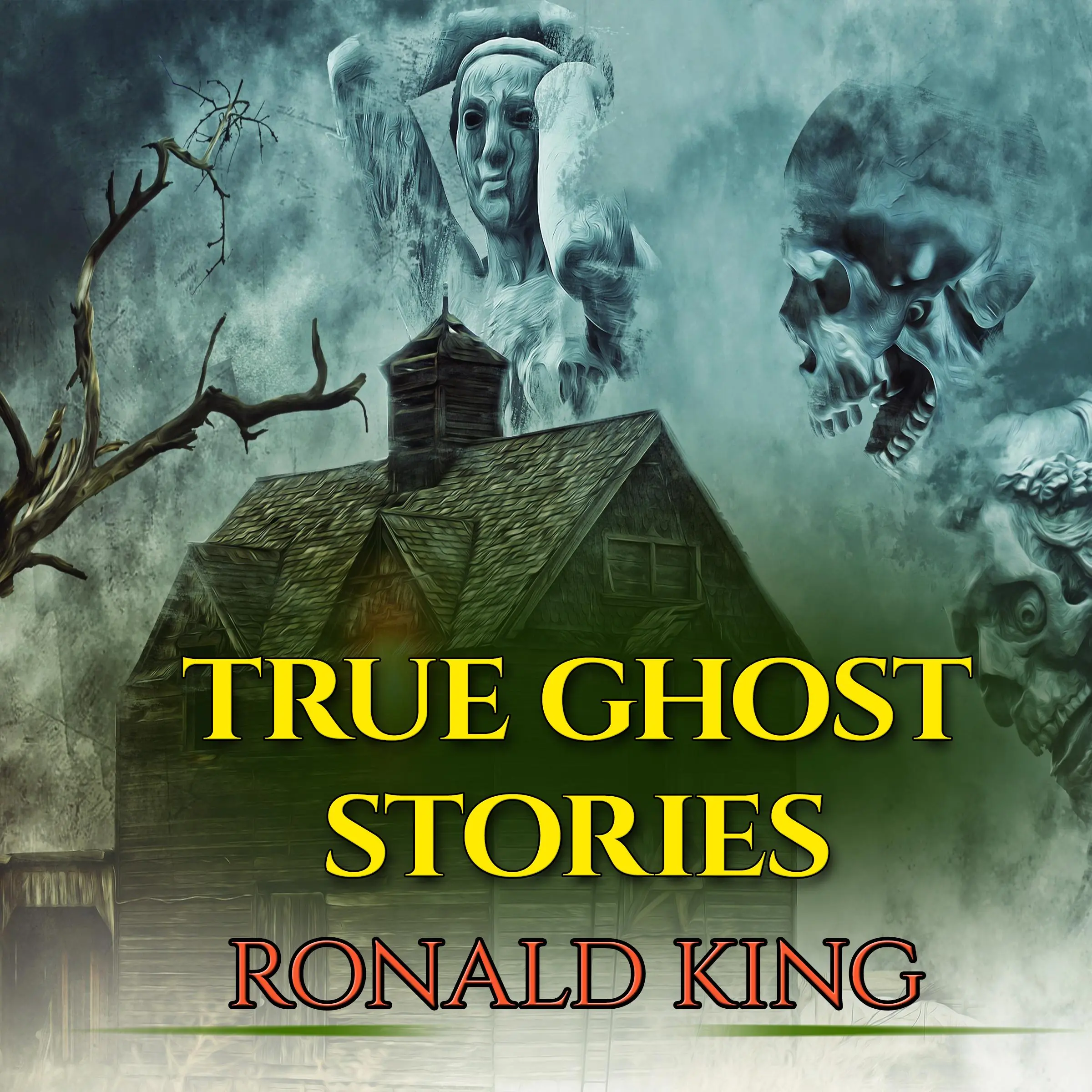 True Ghost Stories by Ronald King Audiobook