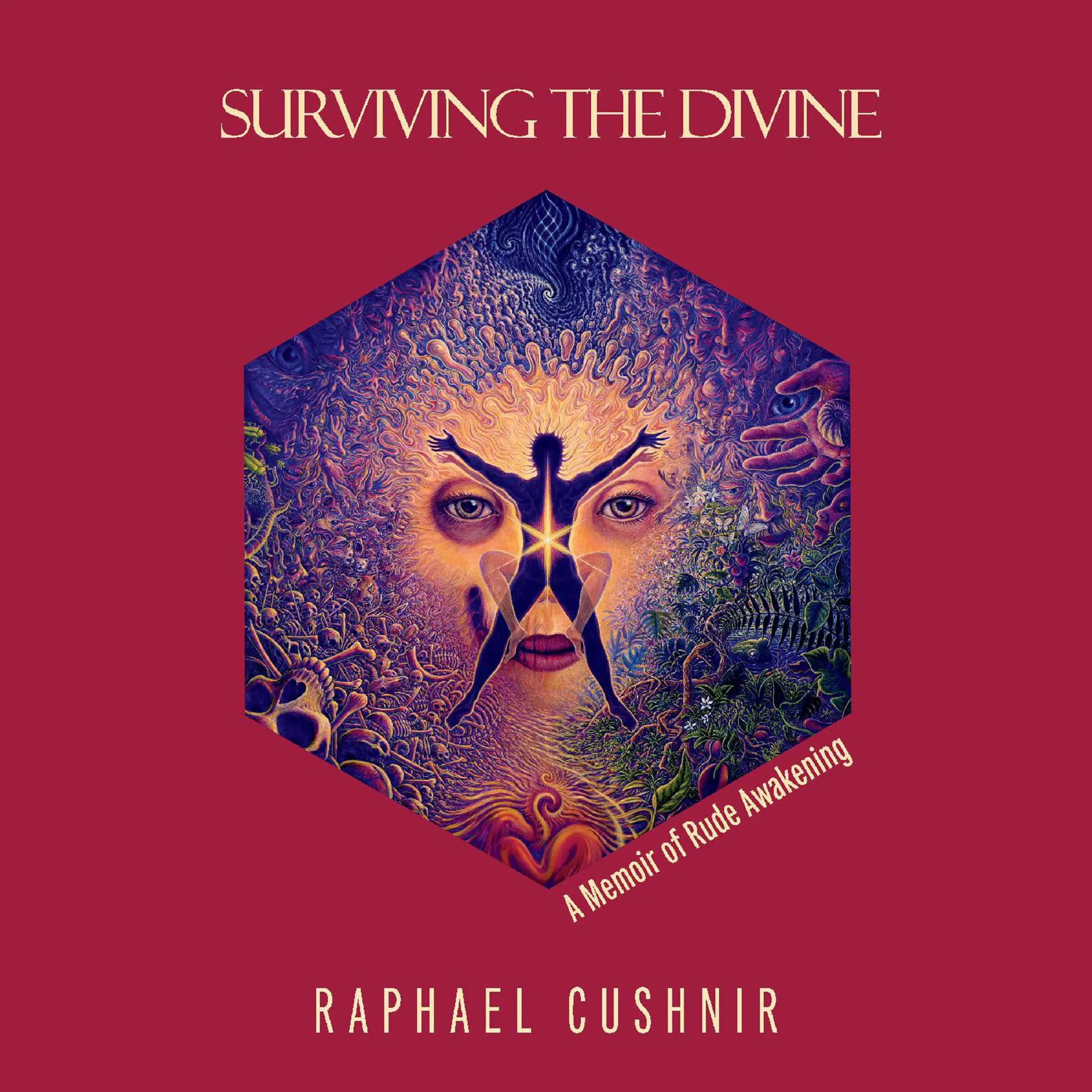 Surviving The Divine by Raphael Cushnir Audiobook