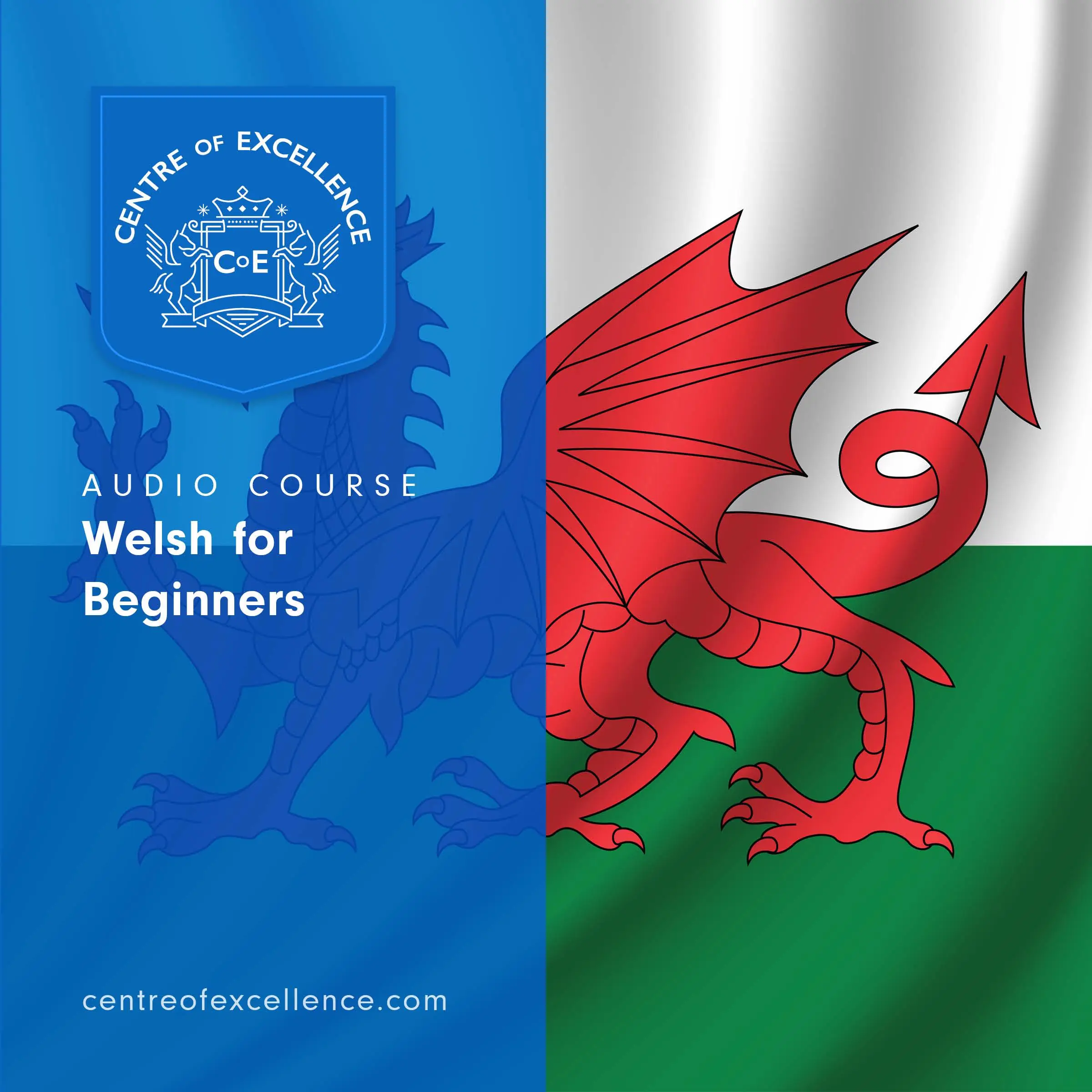 Welsh for Beginners by Centre of Excellence Audiobook