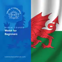 Welsh for Beginners Audiobook by Centre of Excellence