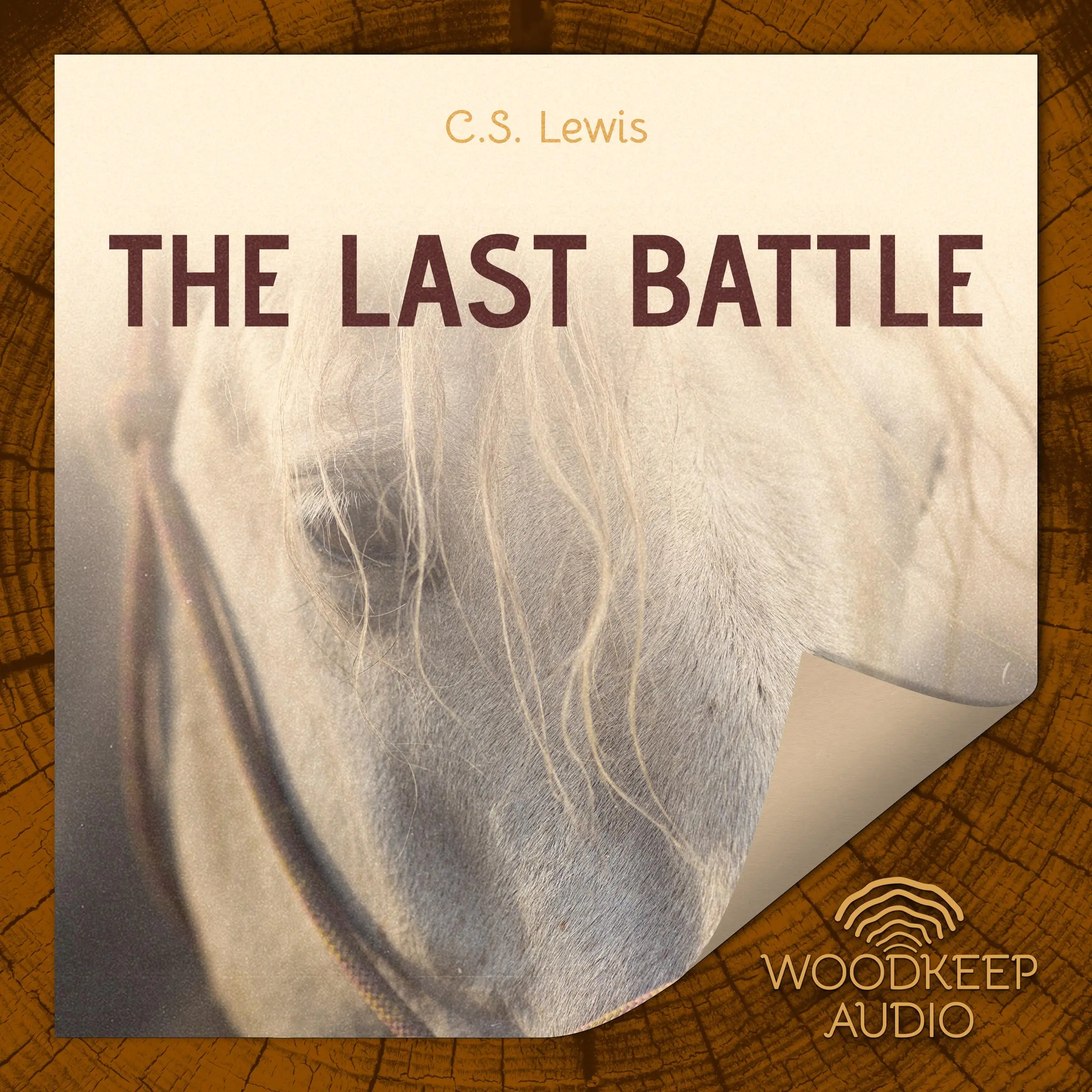 The Last Battle by C.S. Lewis