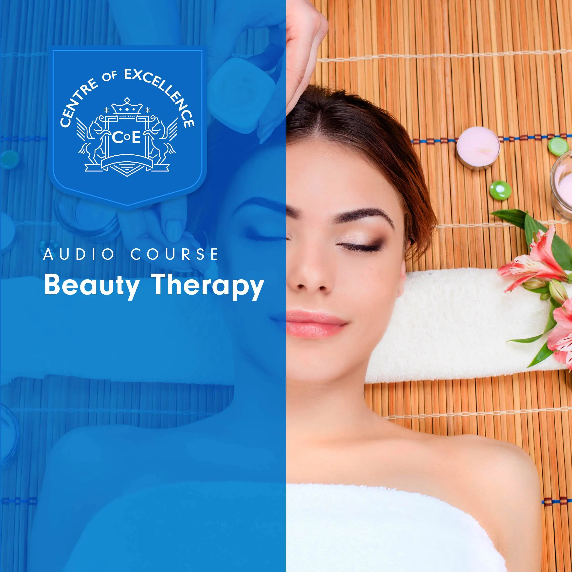 Beauty Therapy Audiobook by Centre of Excellence