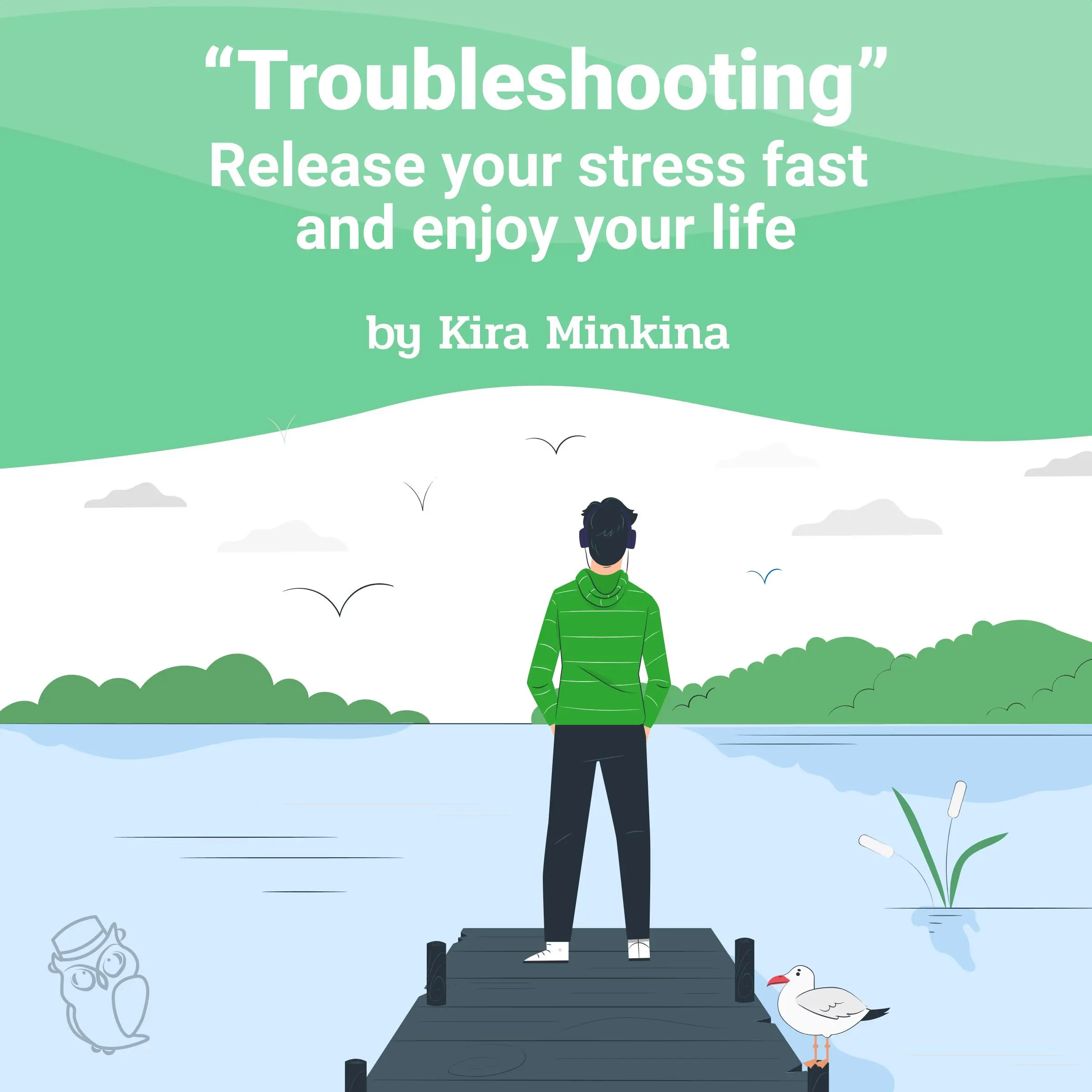 Troubleshooting: Release your stress fast and enjoy your life by Kira Minkina Audiobook