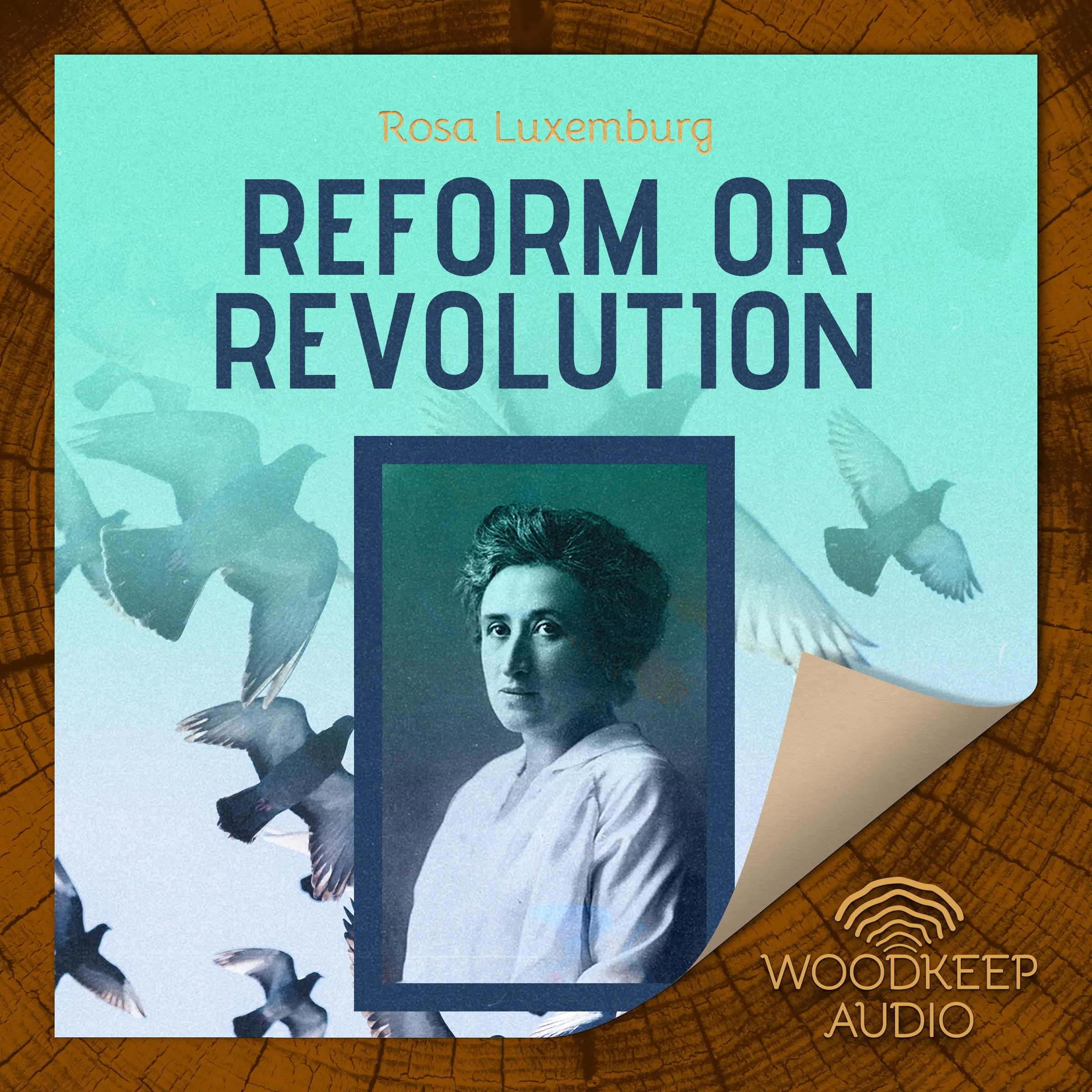 Reform or Revolution by Rosa Luxemburg Audiobook