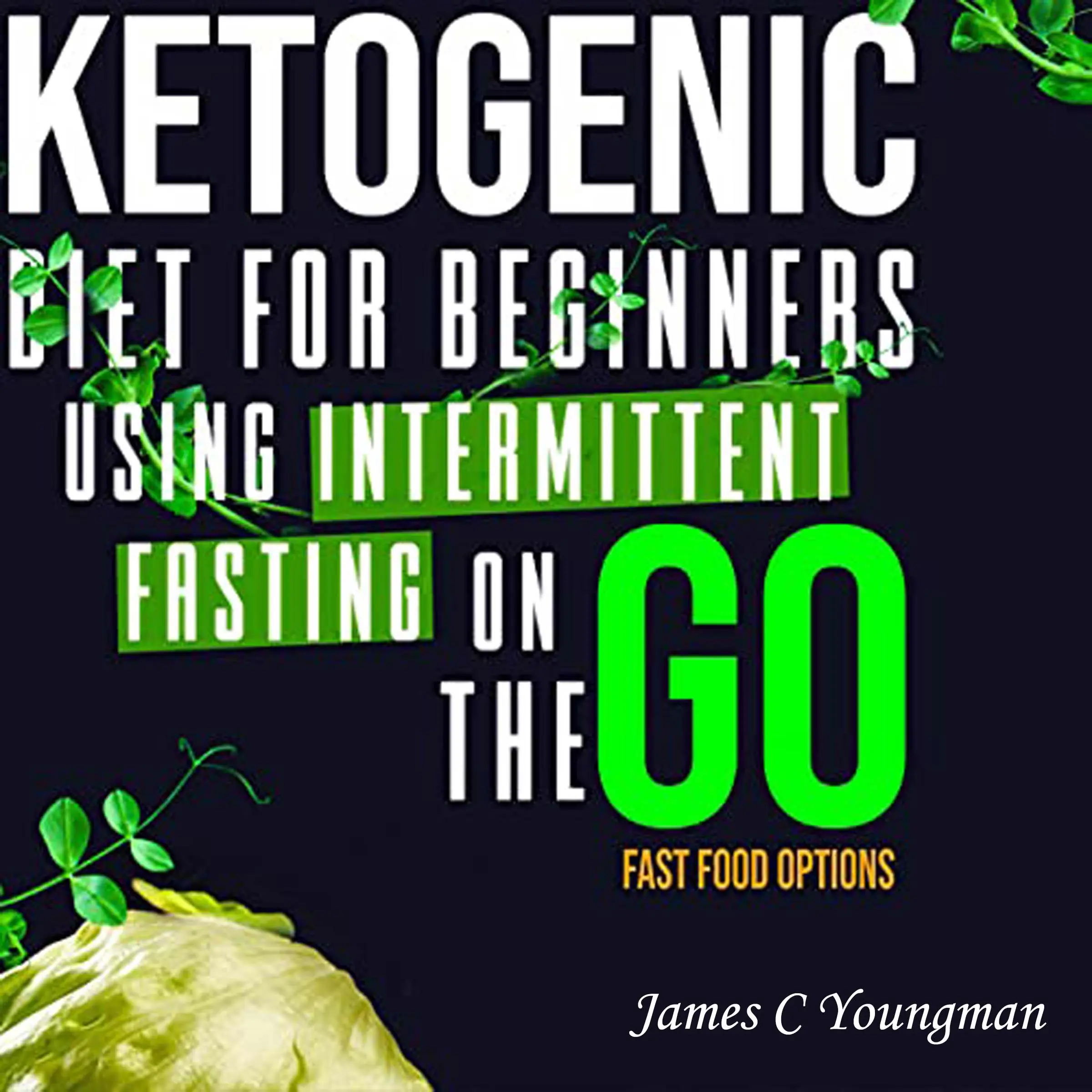 Ketogenic Diet for Beginners using Intermittent Fasting on the GO Fast Food Options Audiobook by James C Youngman