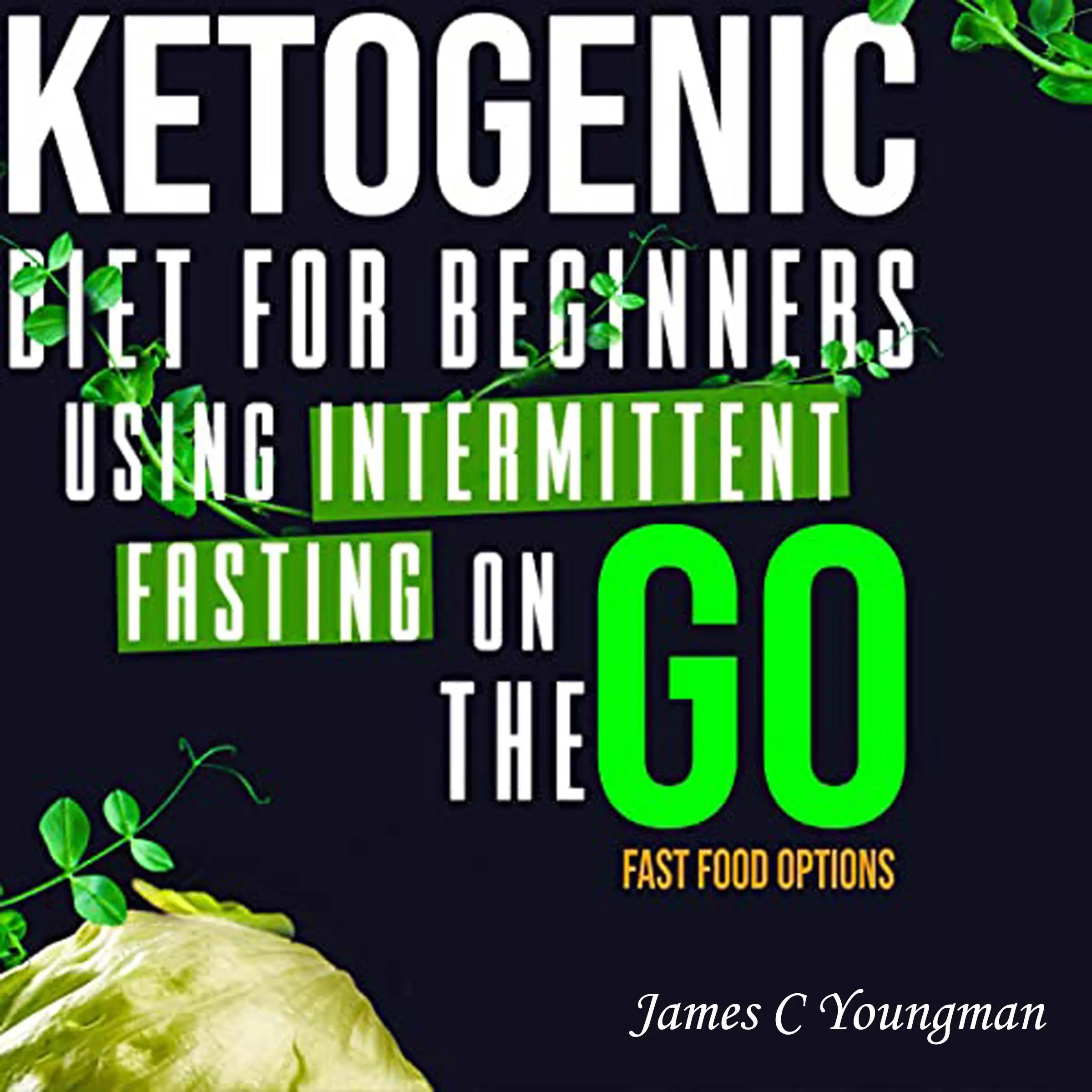 Ketogenic Diet for Beginners using Intermittent Fasting on the GO Fast Food Options by James C Youngman Audiobook