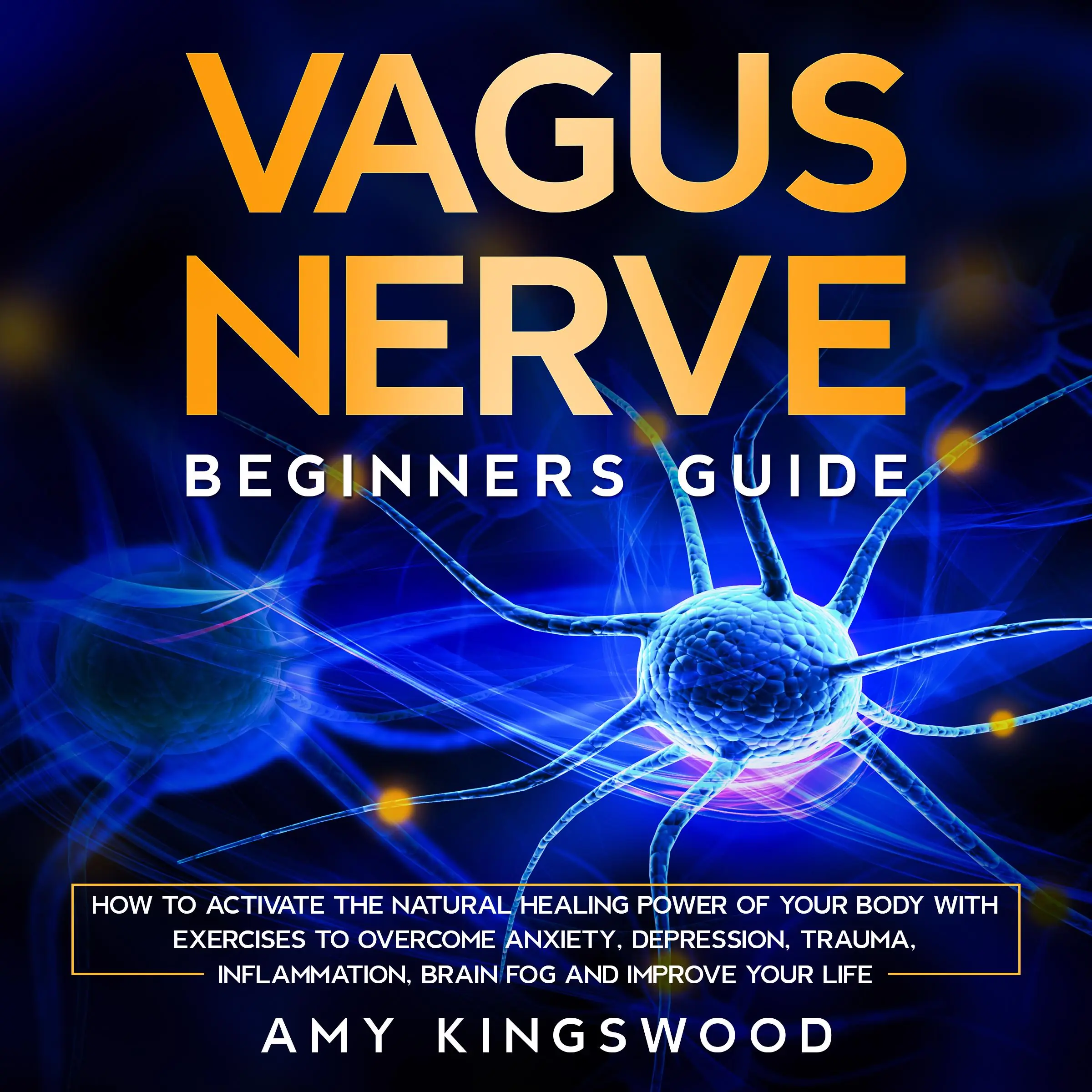 Vagus Nerve: Beginner’s Guide: How to Activate the Natural Healing Power of Your Body with Exercises to Overcome Anxiety, Depression, Trauma, Inflammation, Brain Fog, and Improve Your Life Audiobook by Amy Kingswood