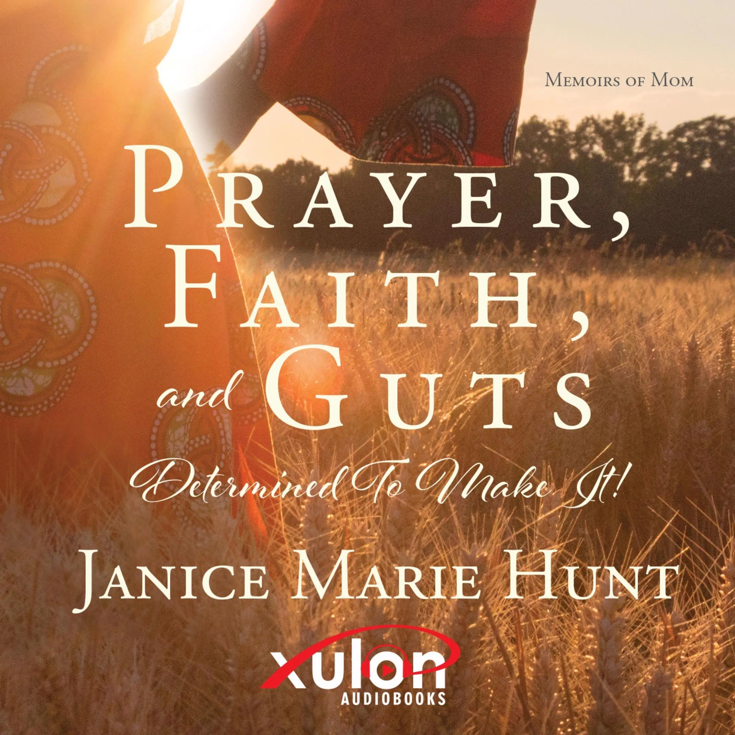 Prayer, Faith, and Guts Determined To Make It! by Janice Marie Hunt Audiobook