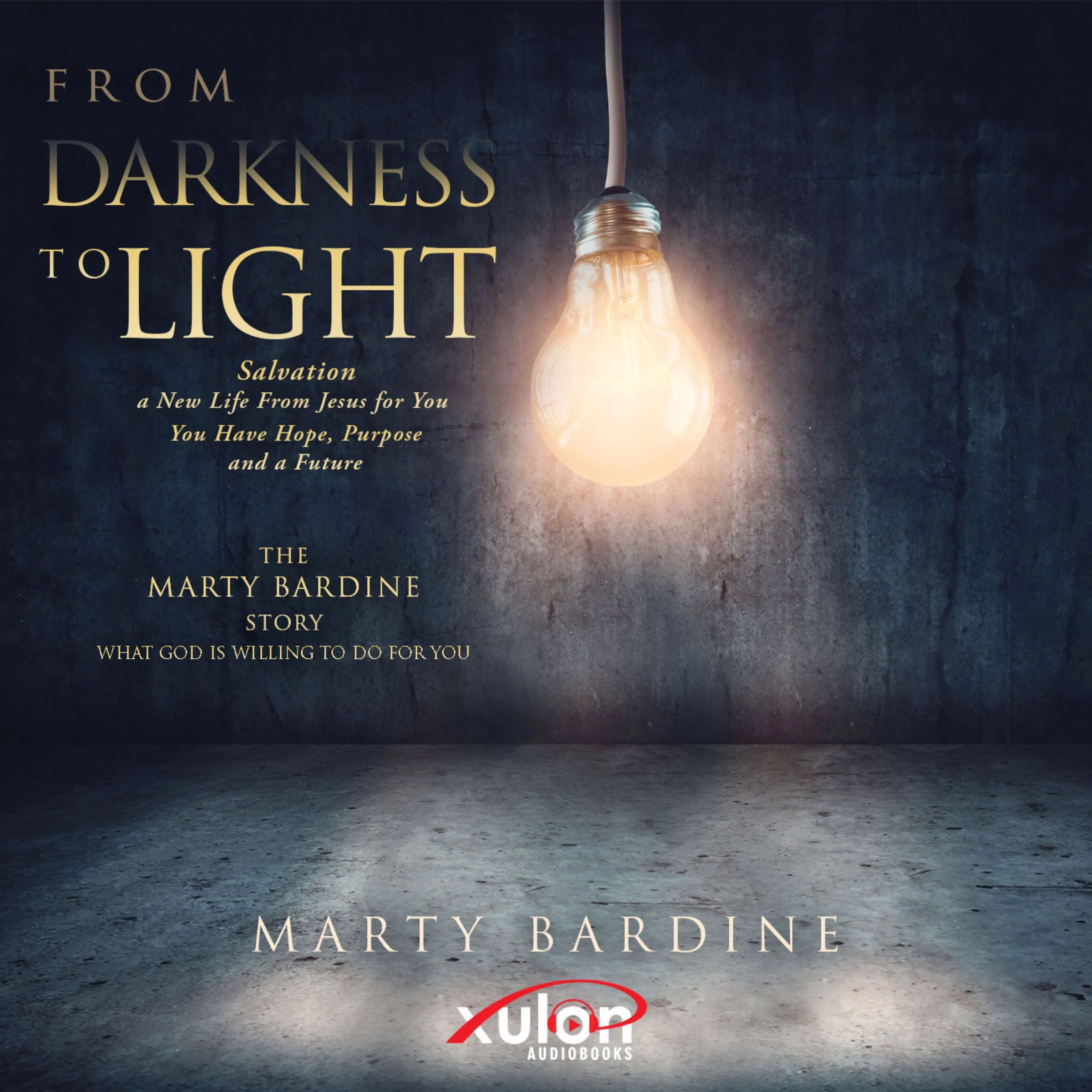 FROM DARKNESS TO LIGHT Audiobook by Marty Bardine