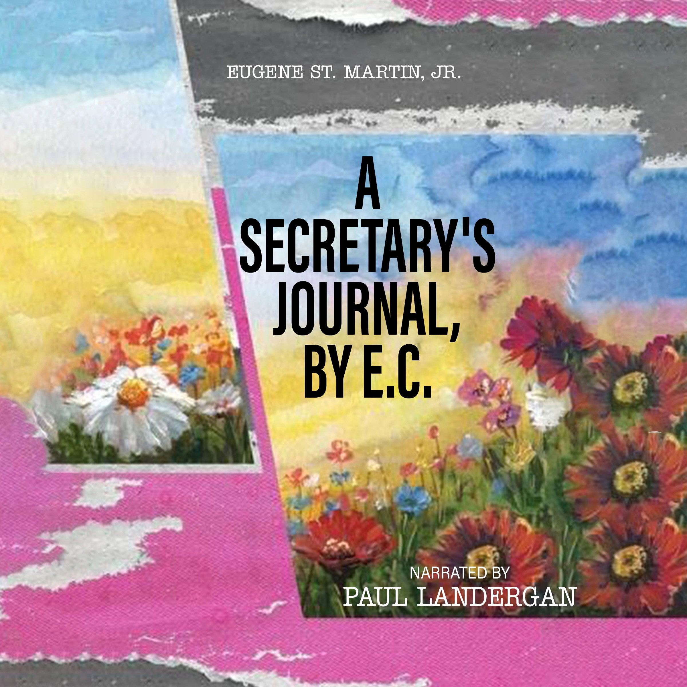 A Secretary's Journal, by E. C. Audiobook by Eugene St. Martin JR.