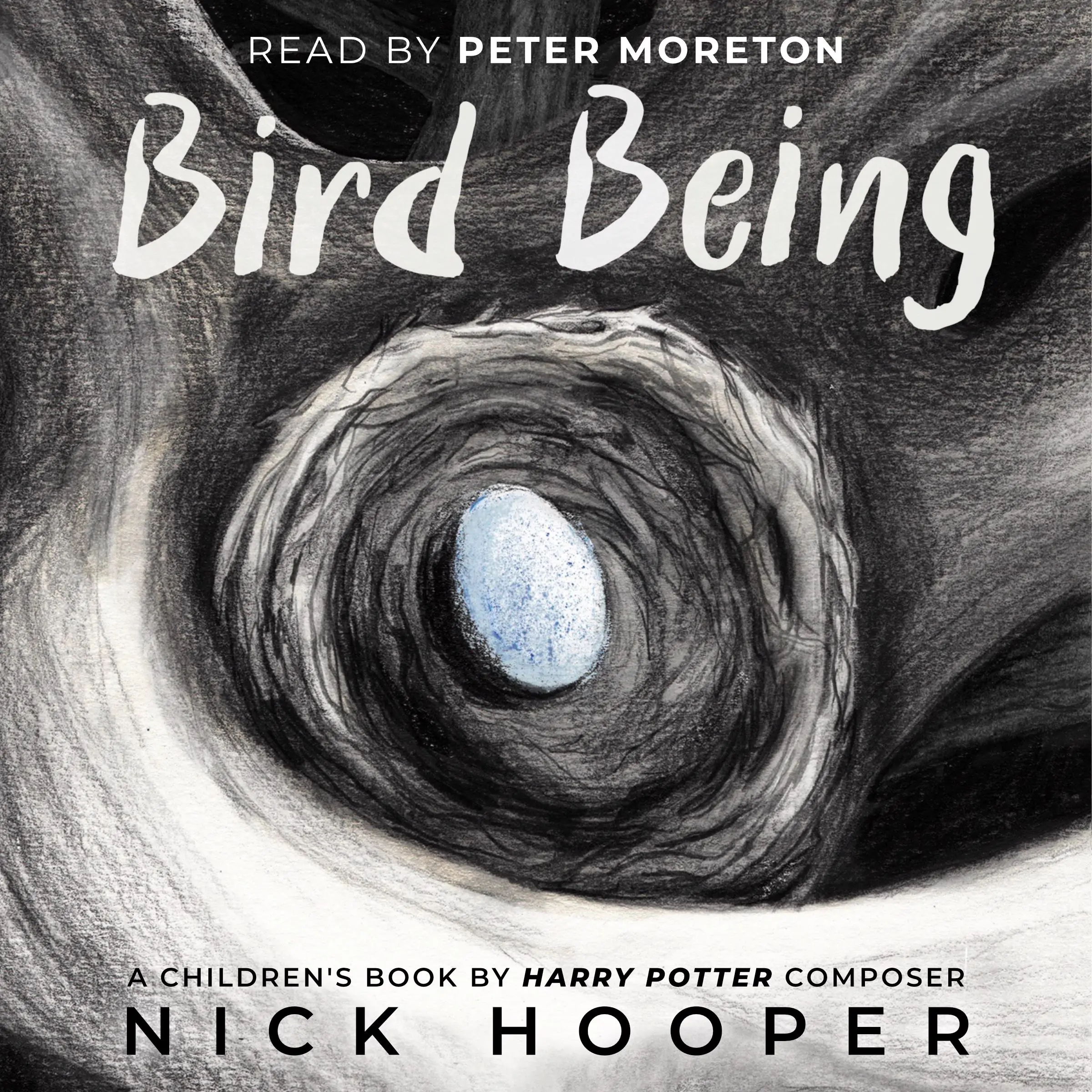 Bird Being Audiobook by Nick Hooper